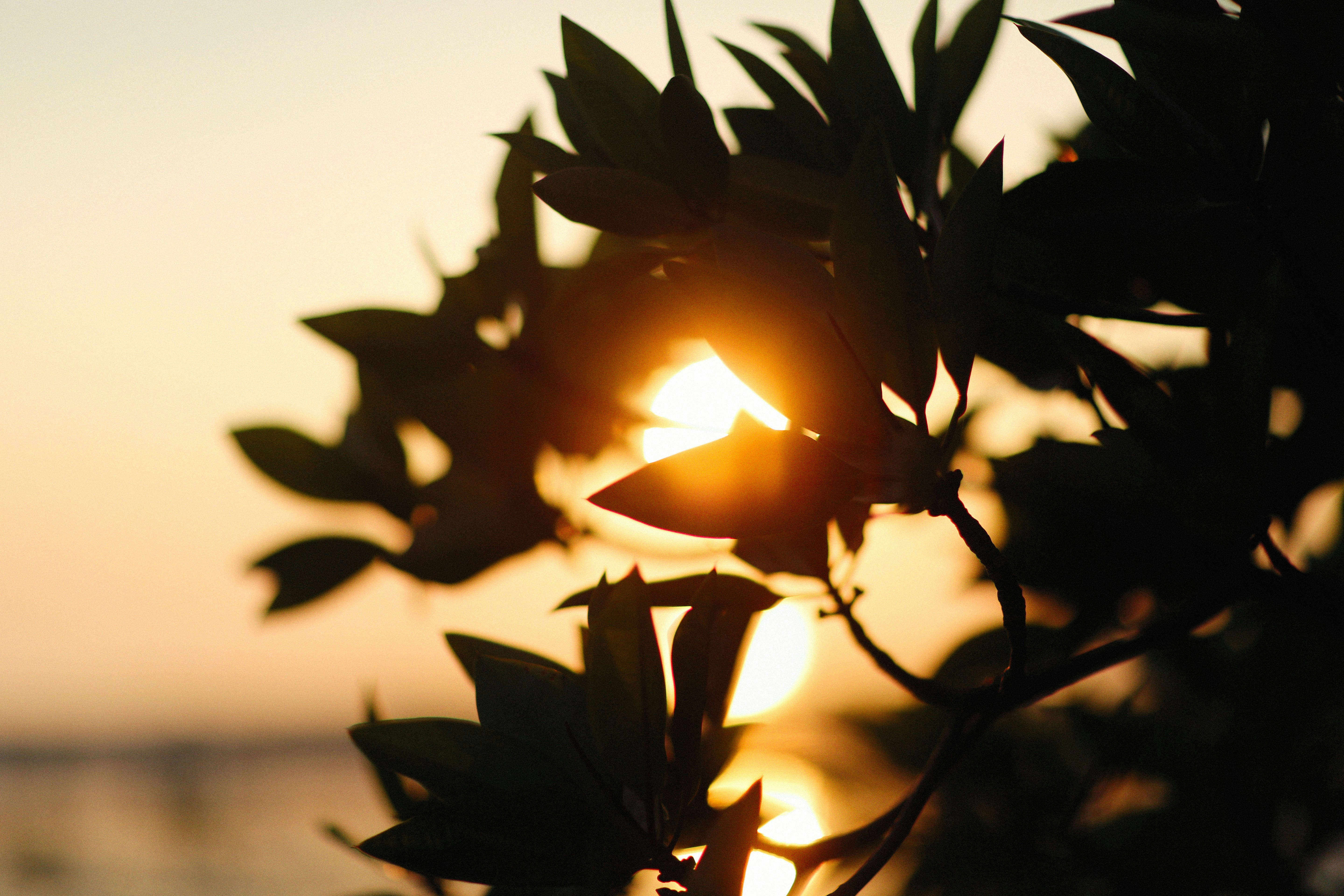 Photo by alexeydemidov