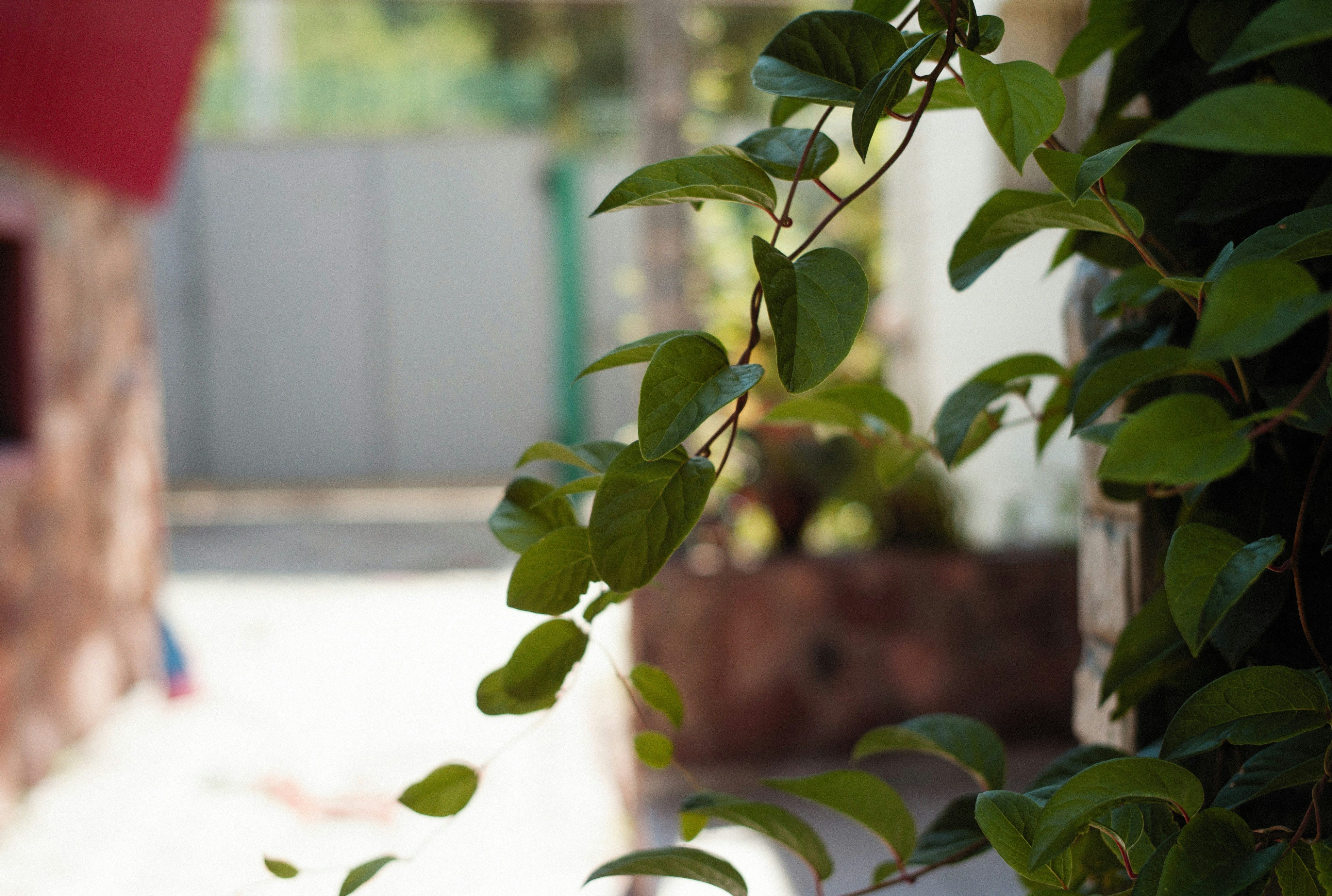 Photo by alexeydemidov