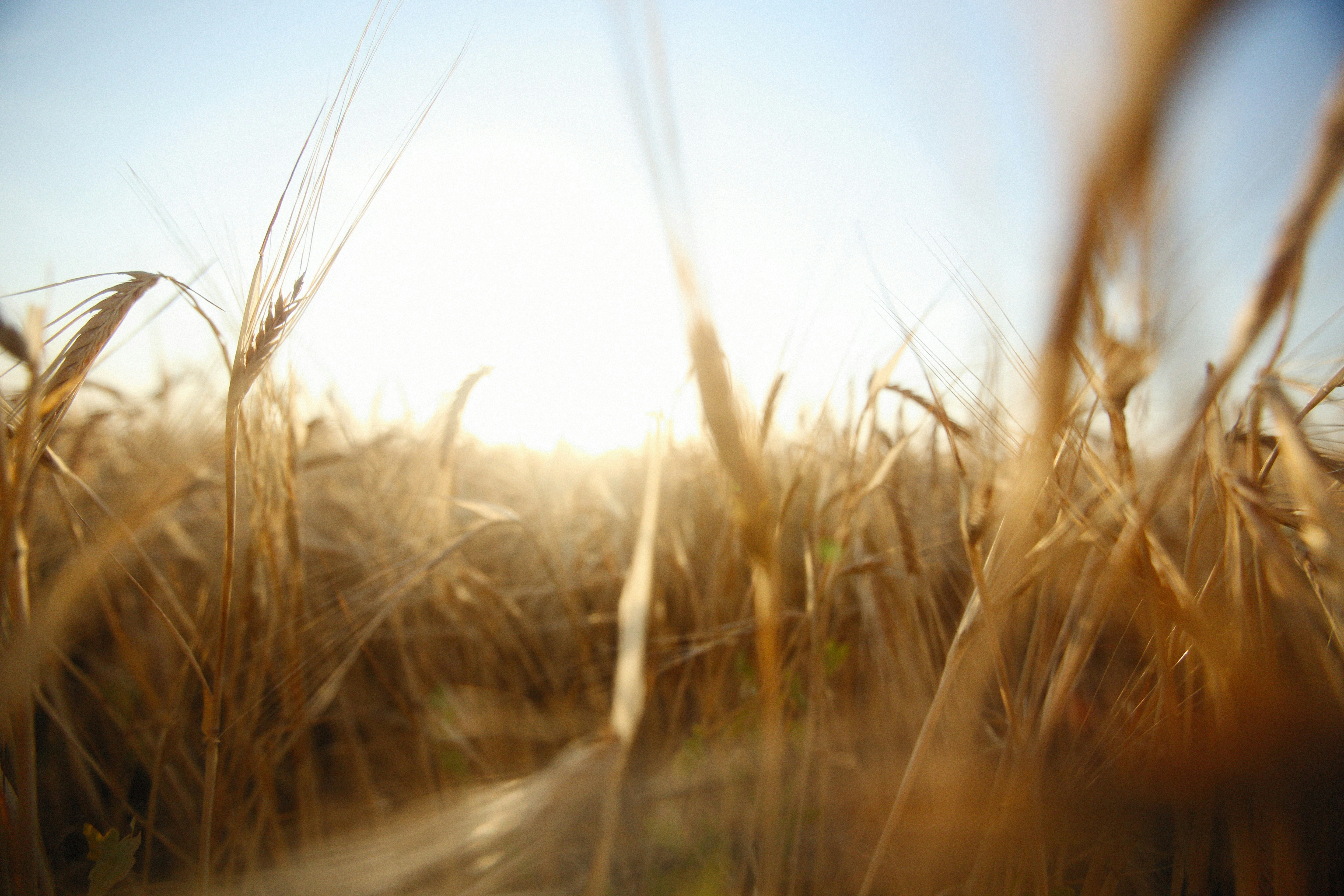 Photo by alexeydemidov