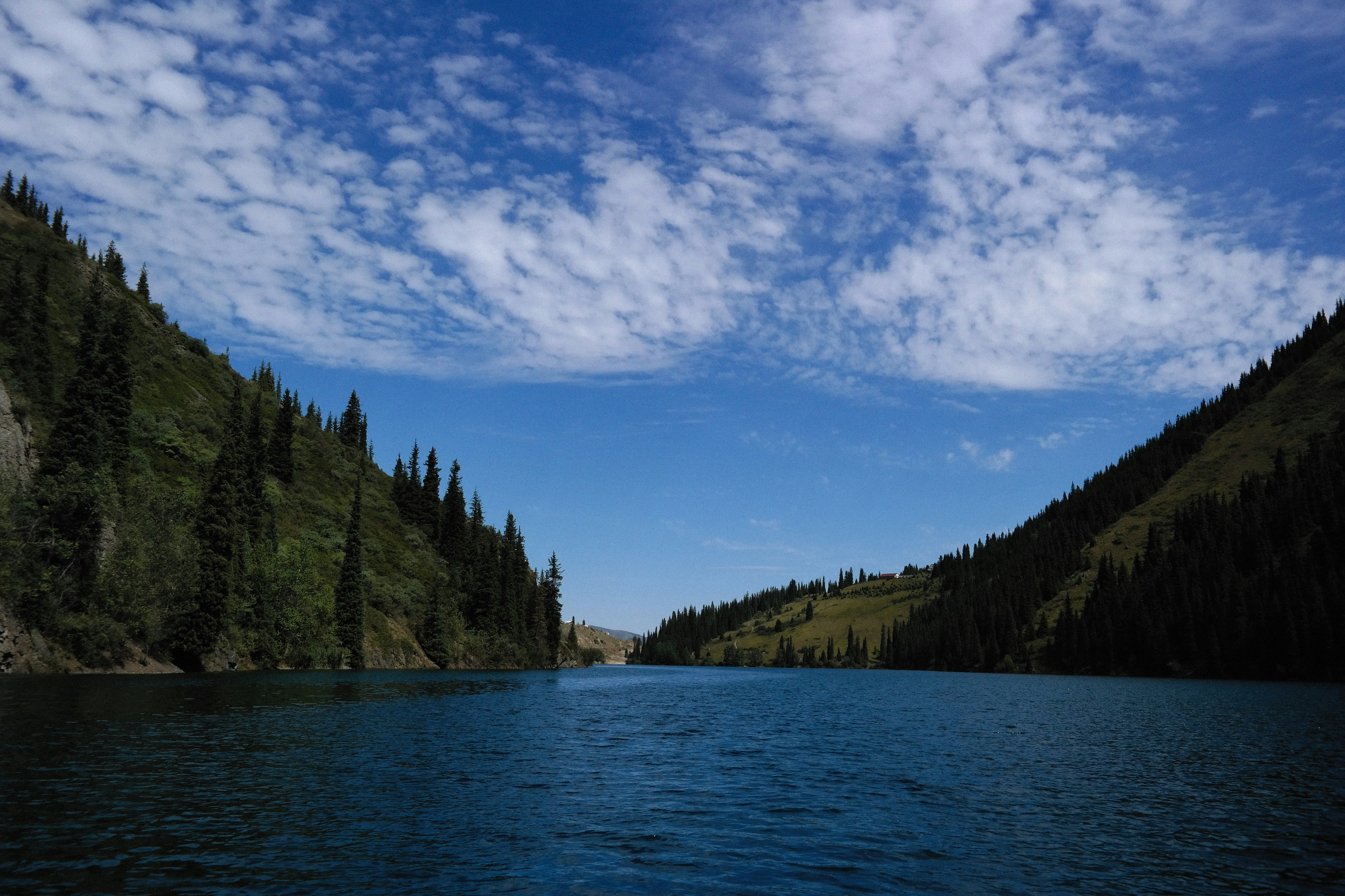 Photo by alexeydemidov