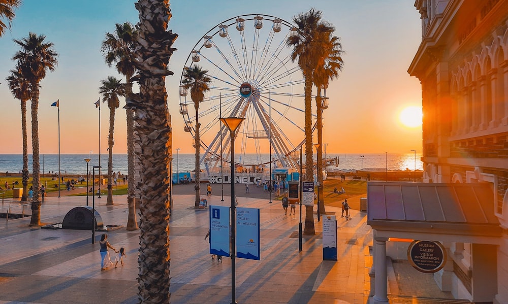 a ferris wheel sitting on top of a beach next to palm trees