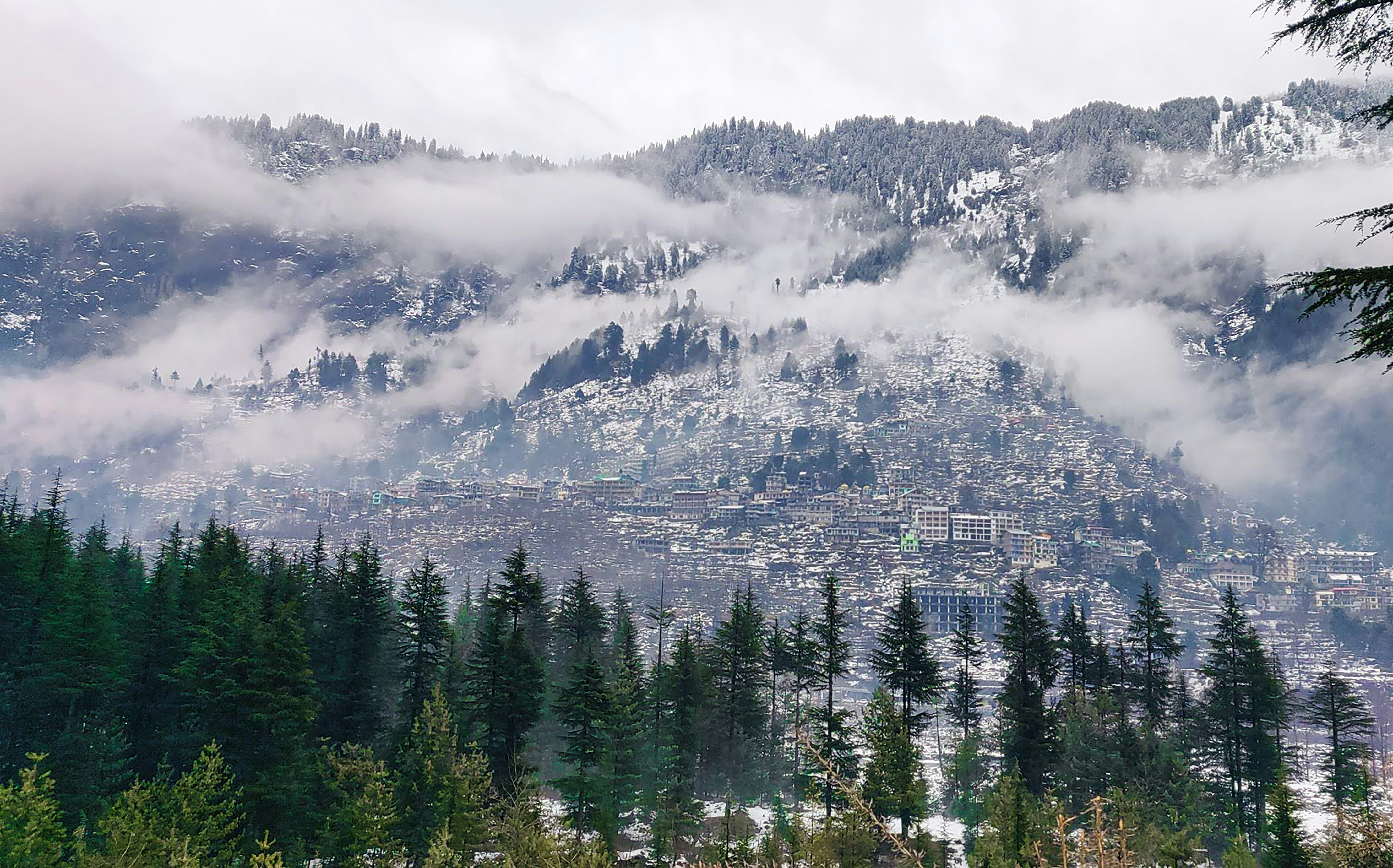 Photo by terence_sans