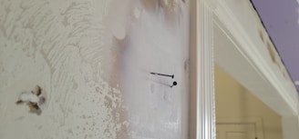 a white door with a black handle on it