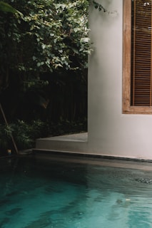 A peaceful outdoor area showing the pool fence blending with lush greenery.