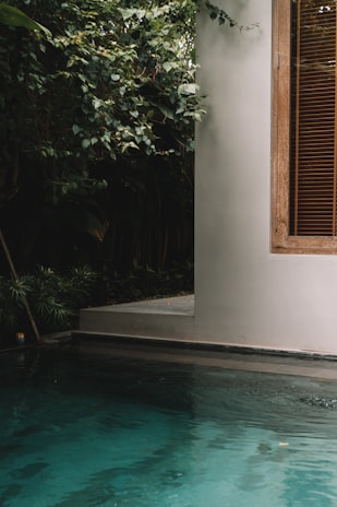 A peaceful outdoor area showing the pool fence blending with lush greenery.