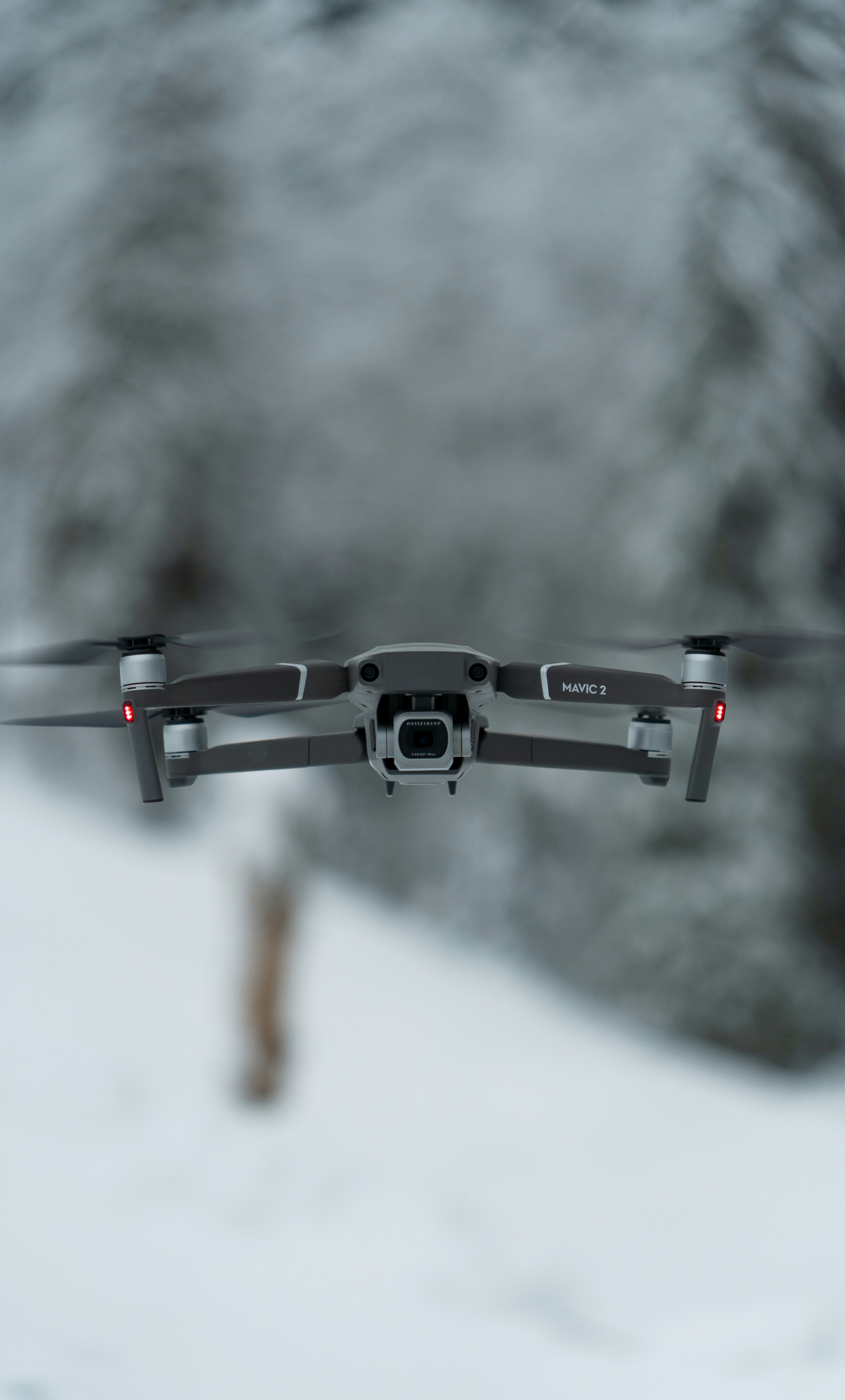 Photo by benaja_photos