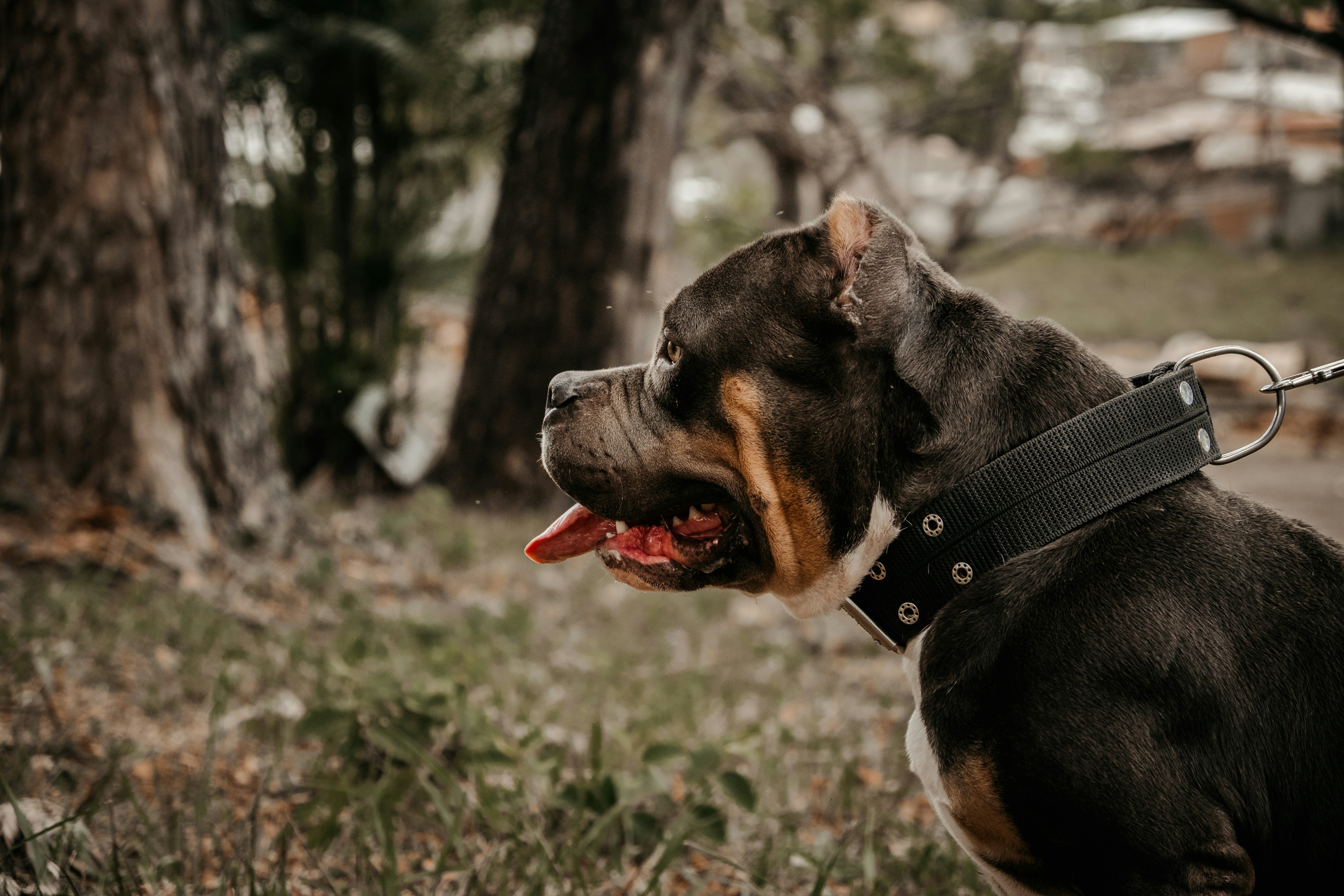 Photo by 17allansfilms