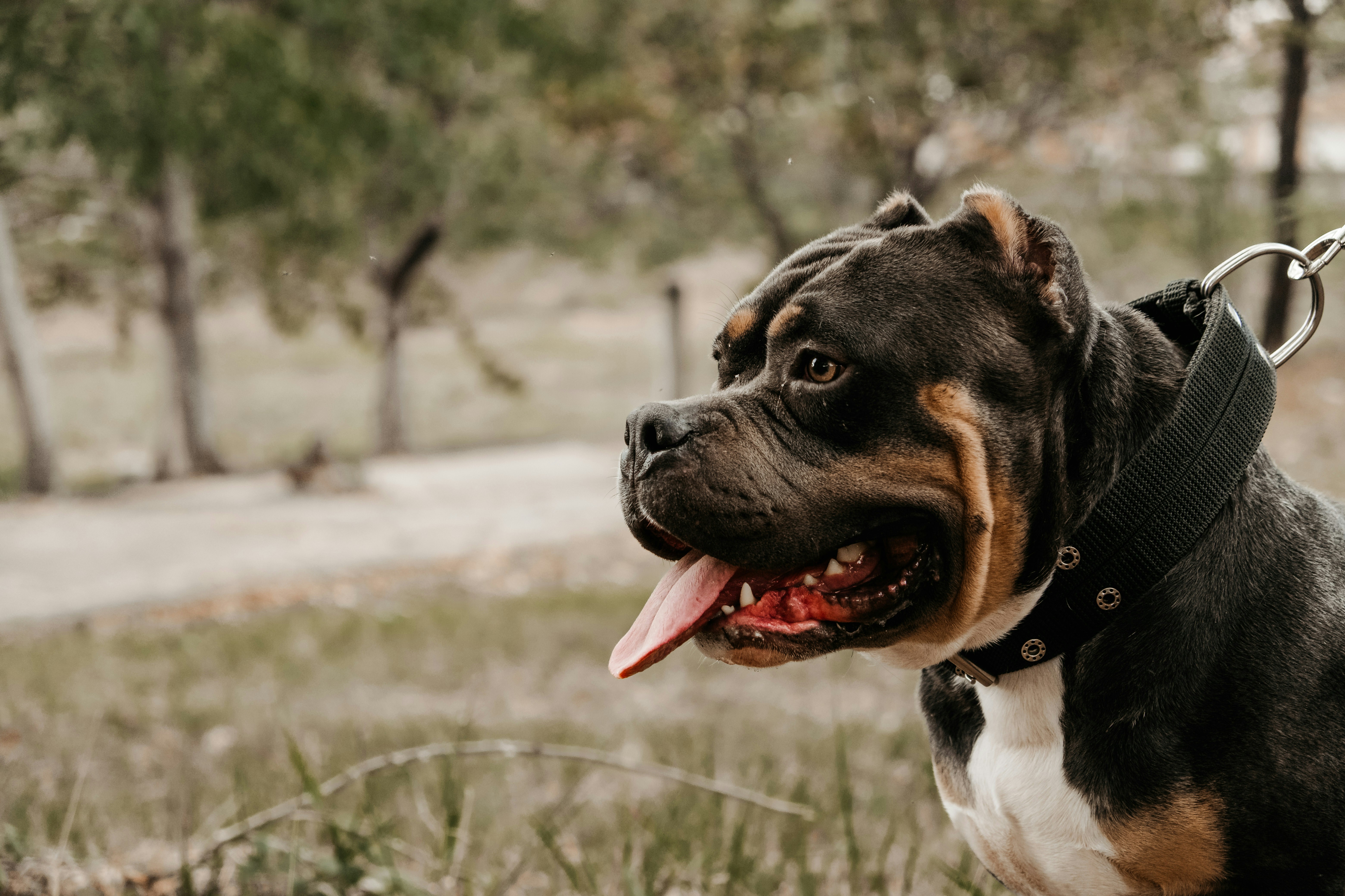 Photo by 17allansfilms