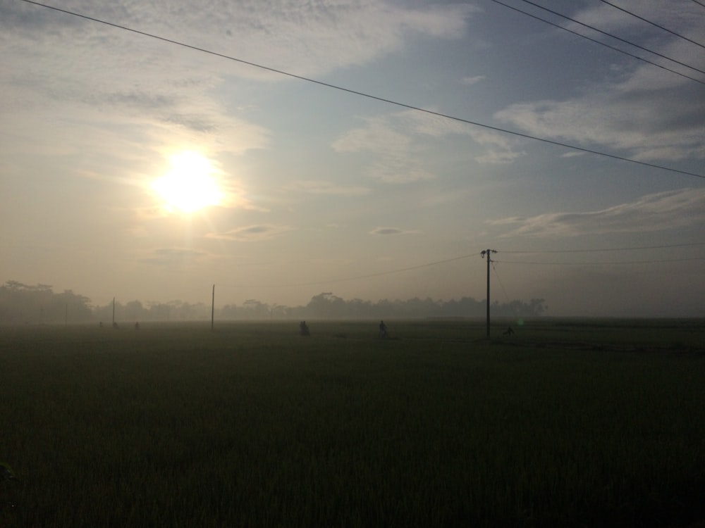 a foggy field with power lines in the distance