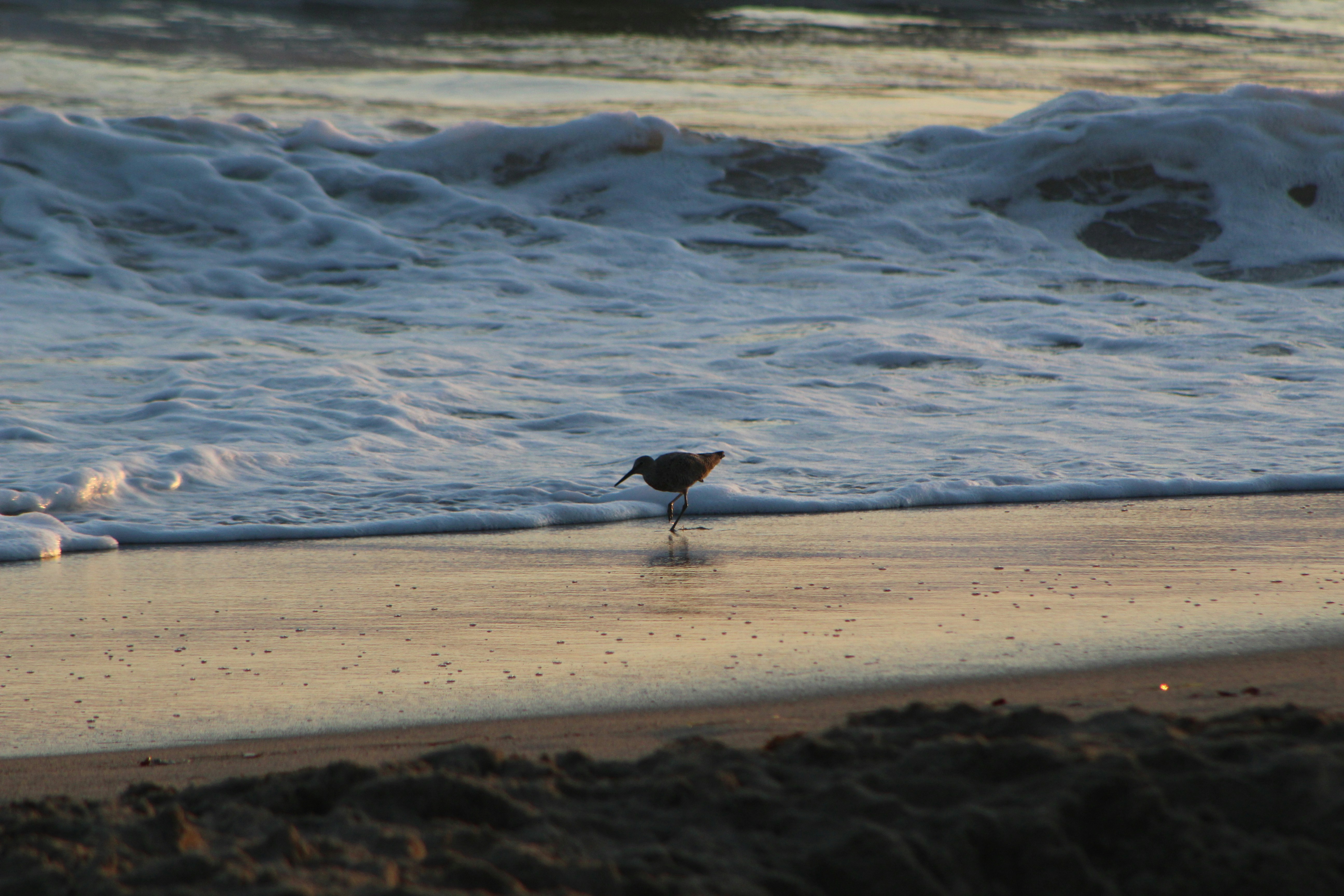 Photo by duckynguyen3