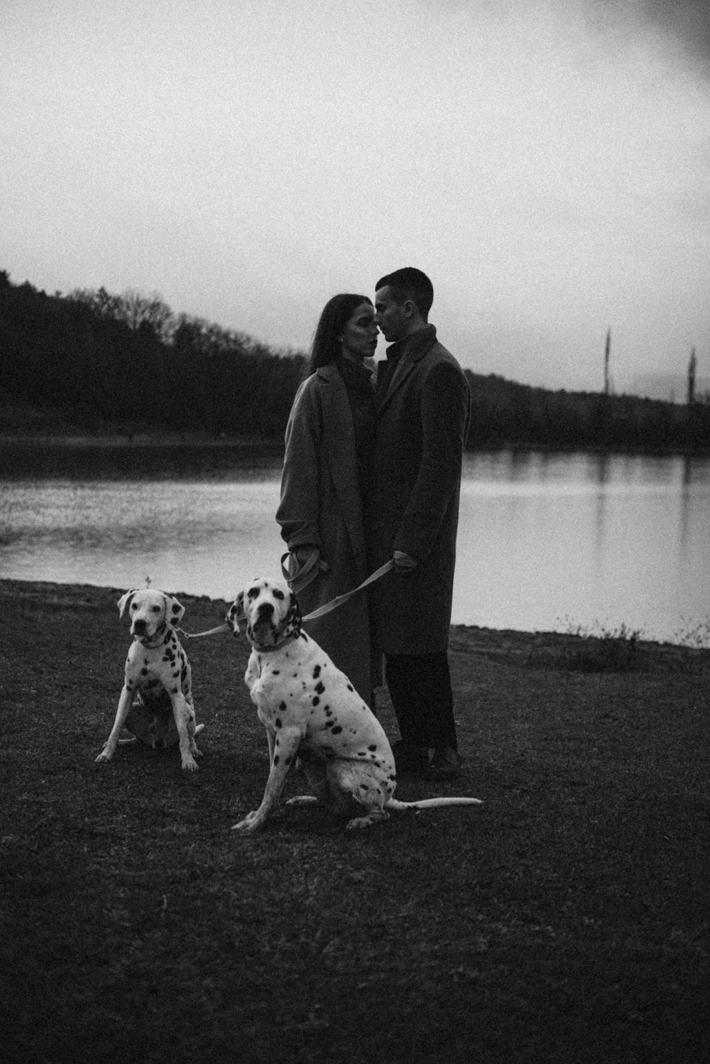 a man and woman standing next to two dalmatian dogs