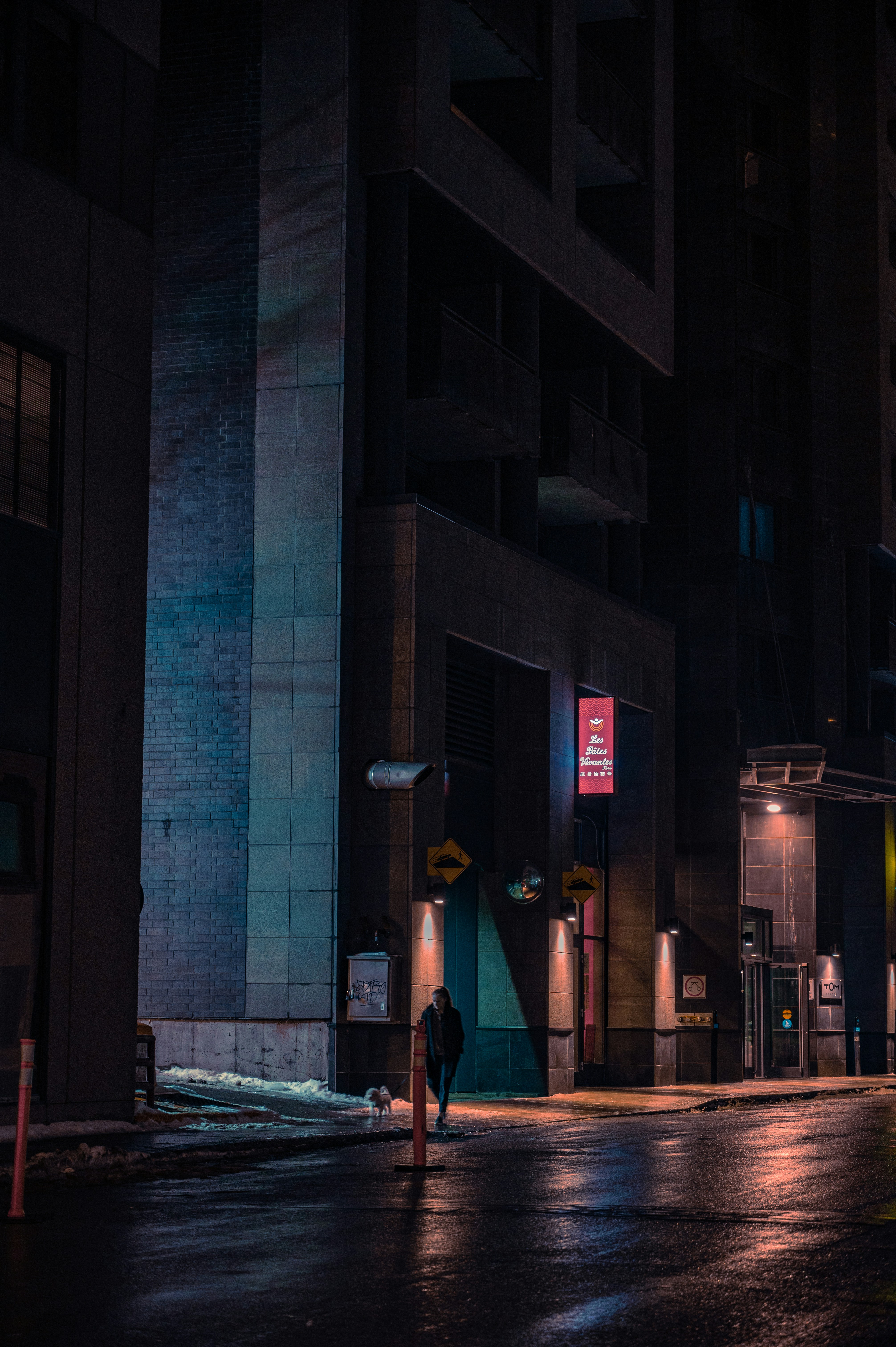 Photo by ryunosuke_kikuno