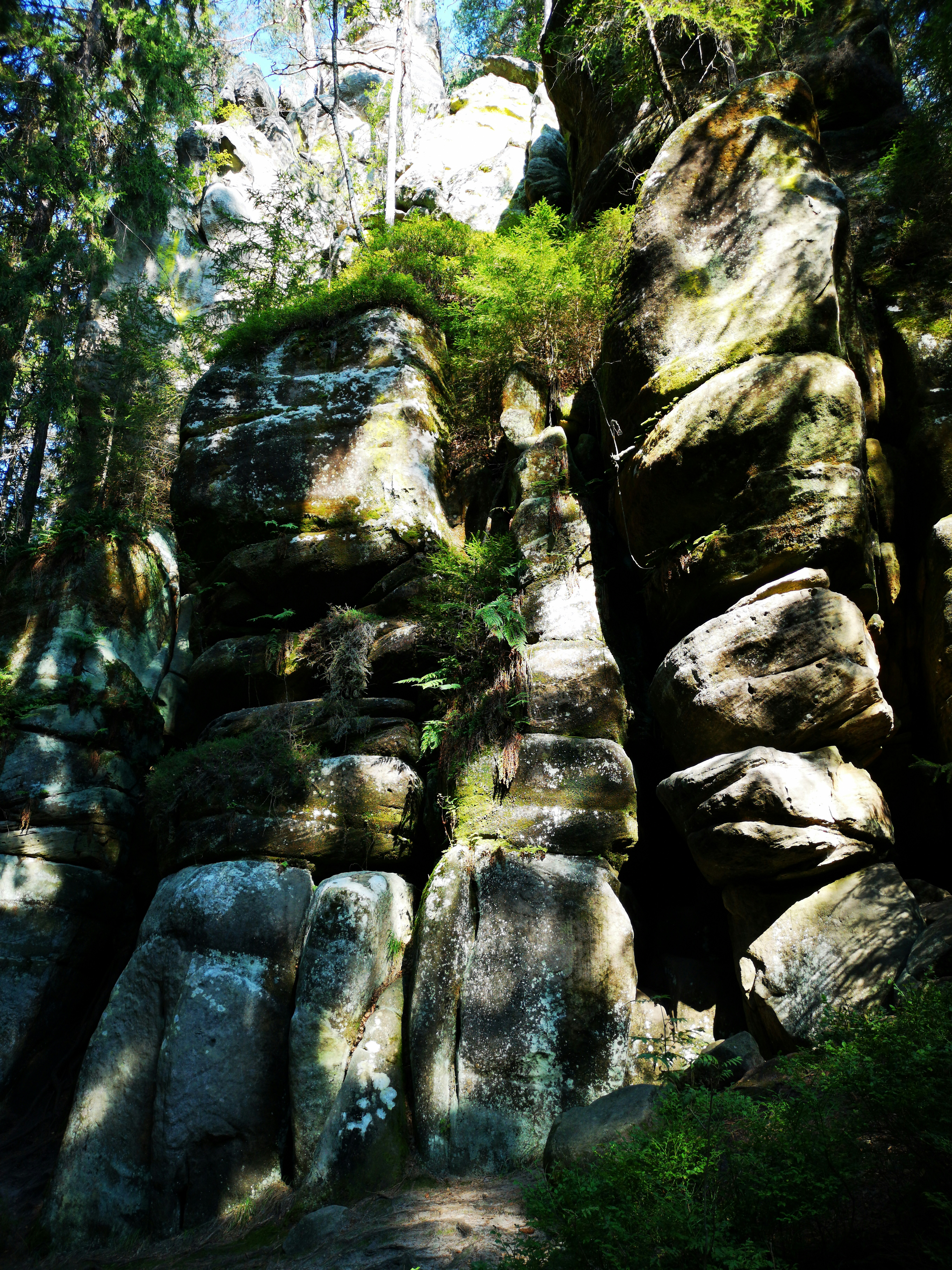 Photo by knuckles_echidna