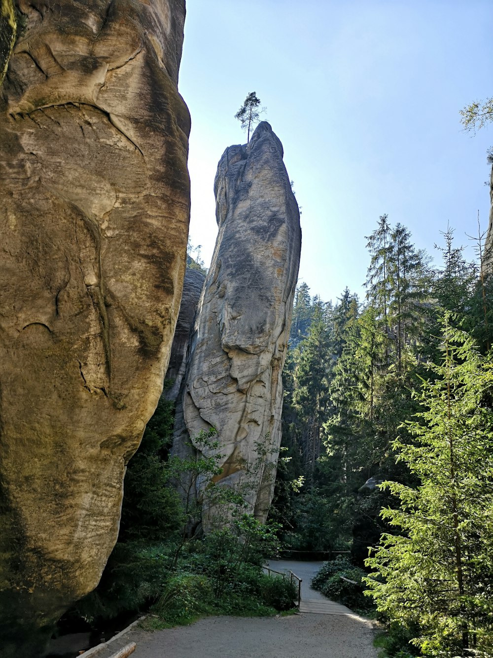 a path between two large rocks in a forest