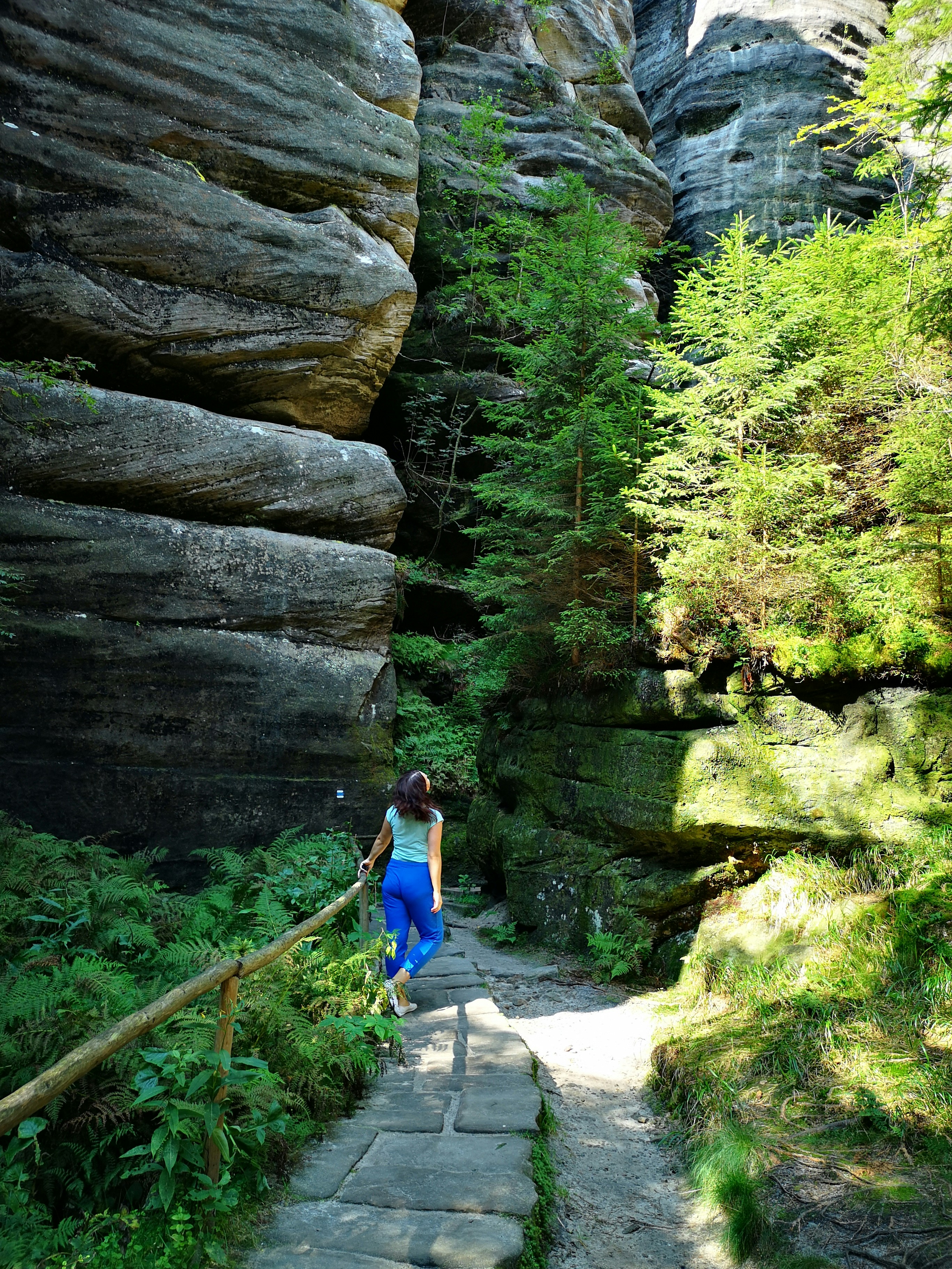 Photo by knuckles_echidna