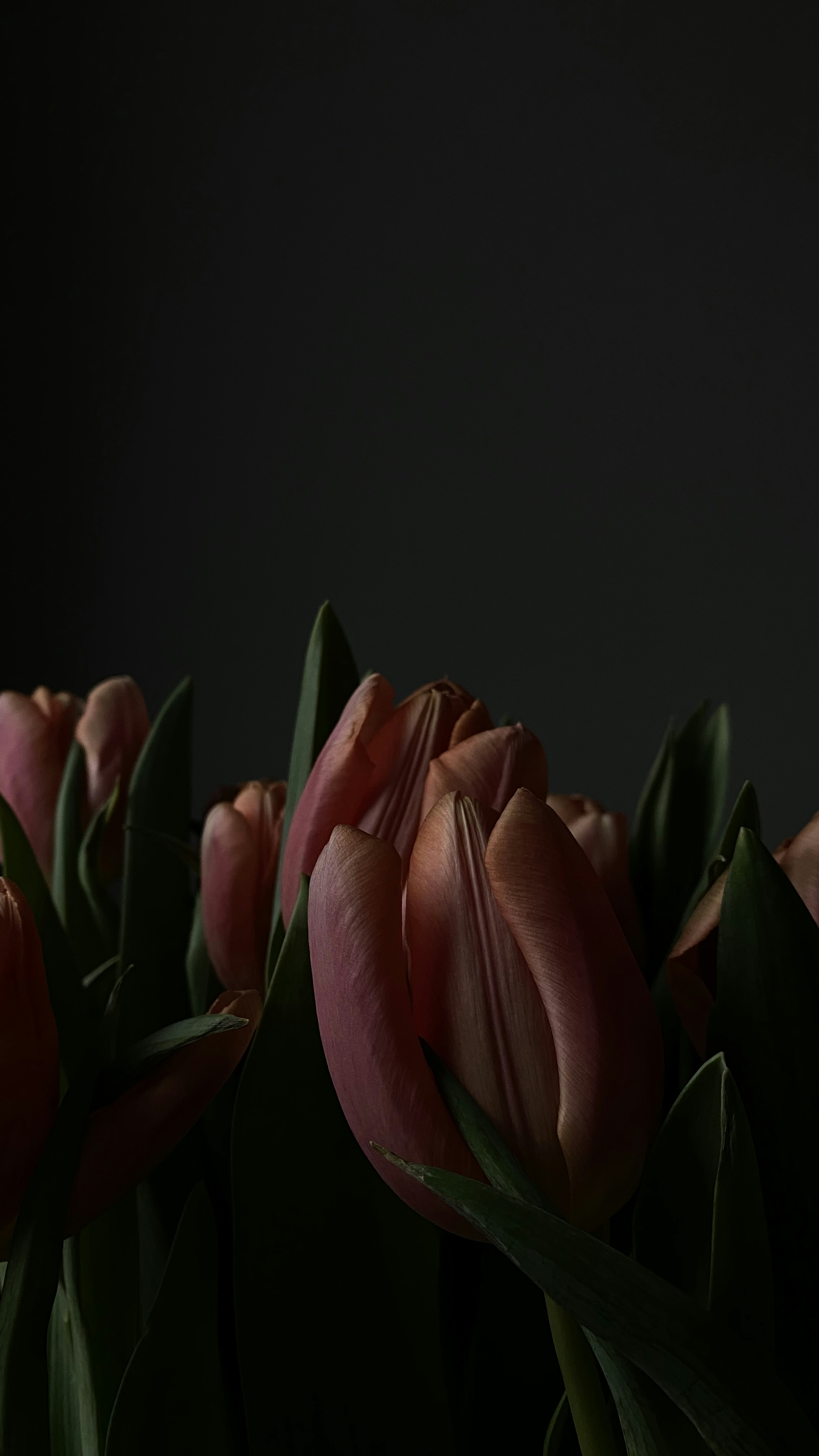 Photo by filipp_roman_photography