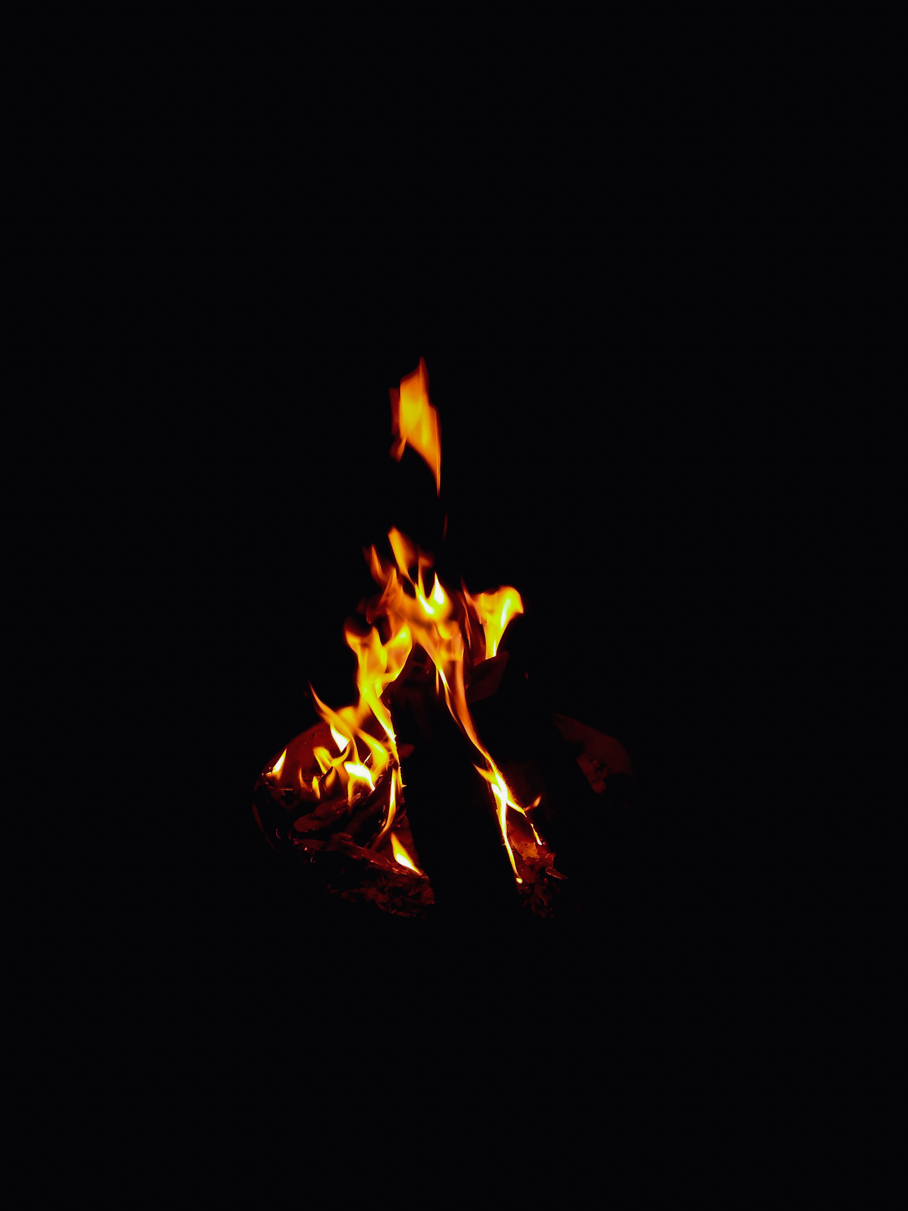 Photo by rajdhiman5445