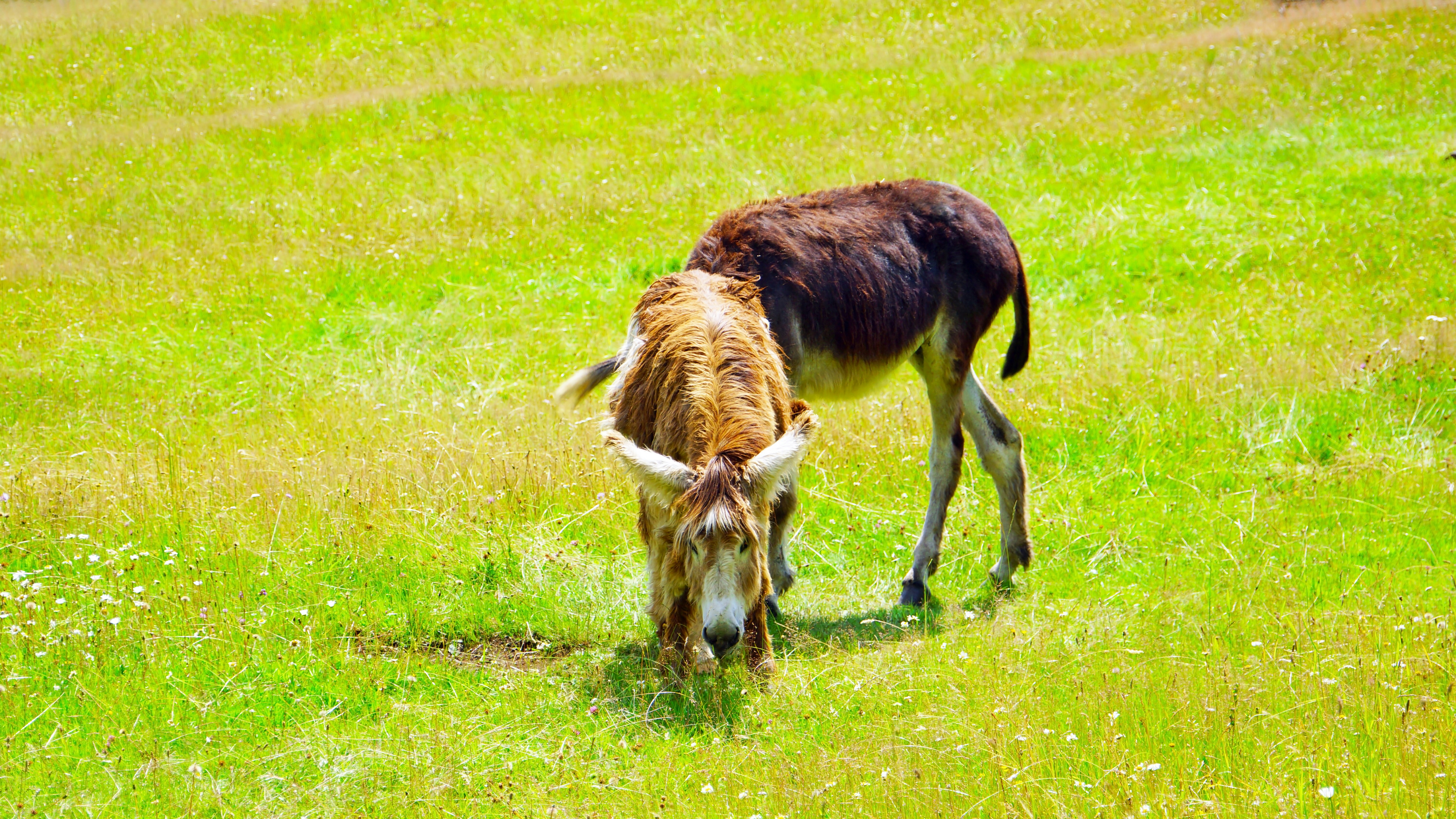 Great Otway National Park
