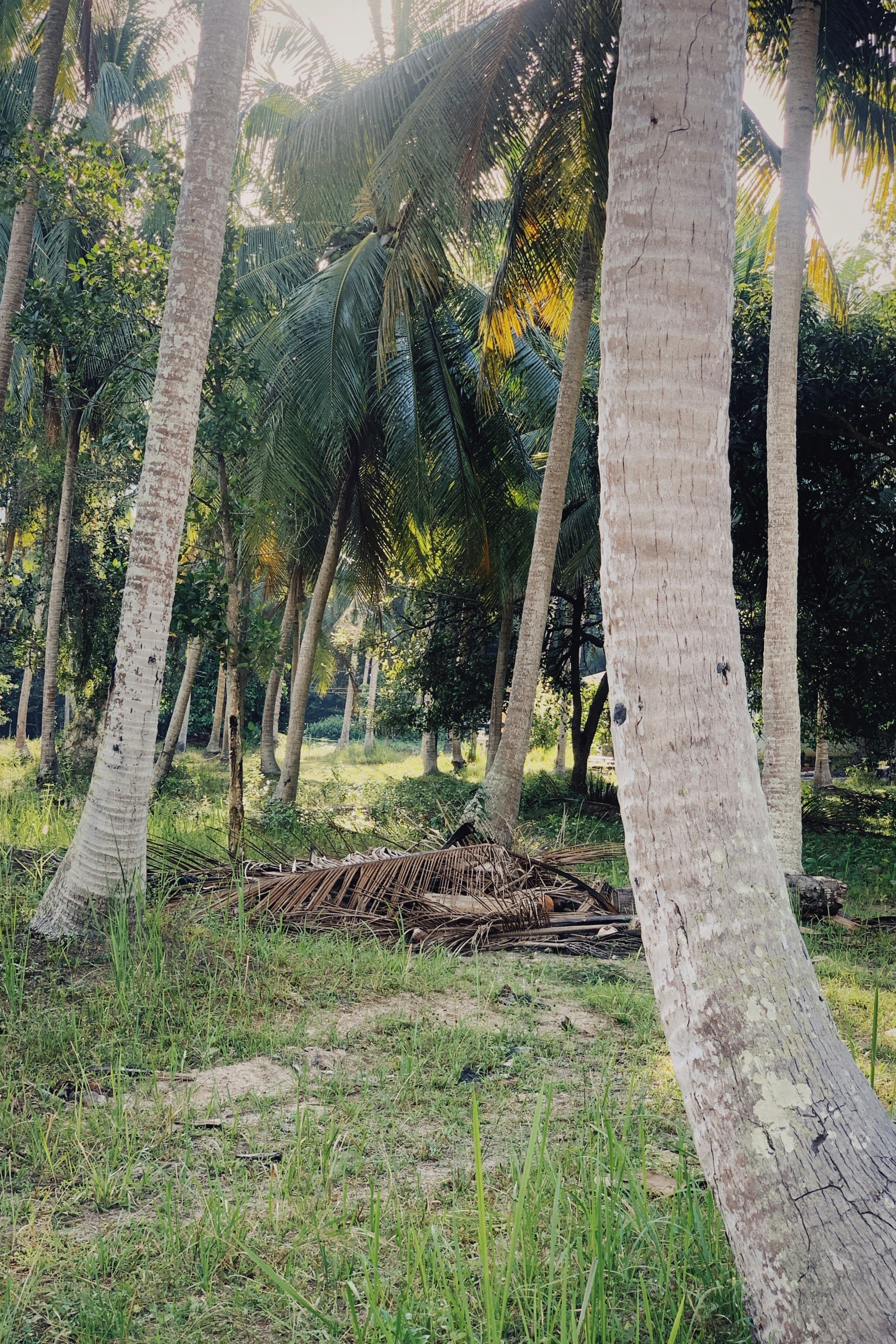 Photo by alexeydemidov