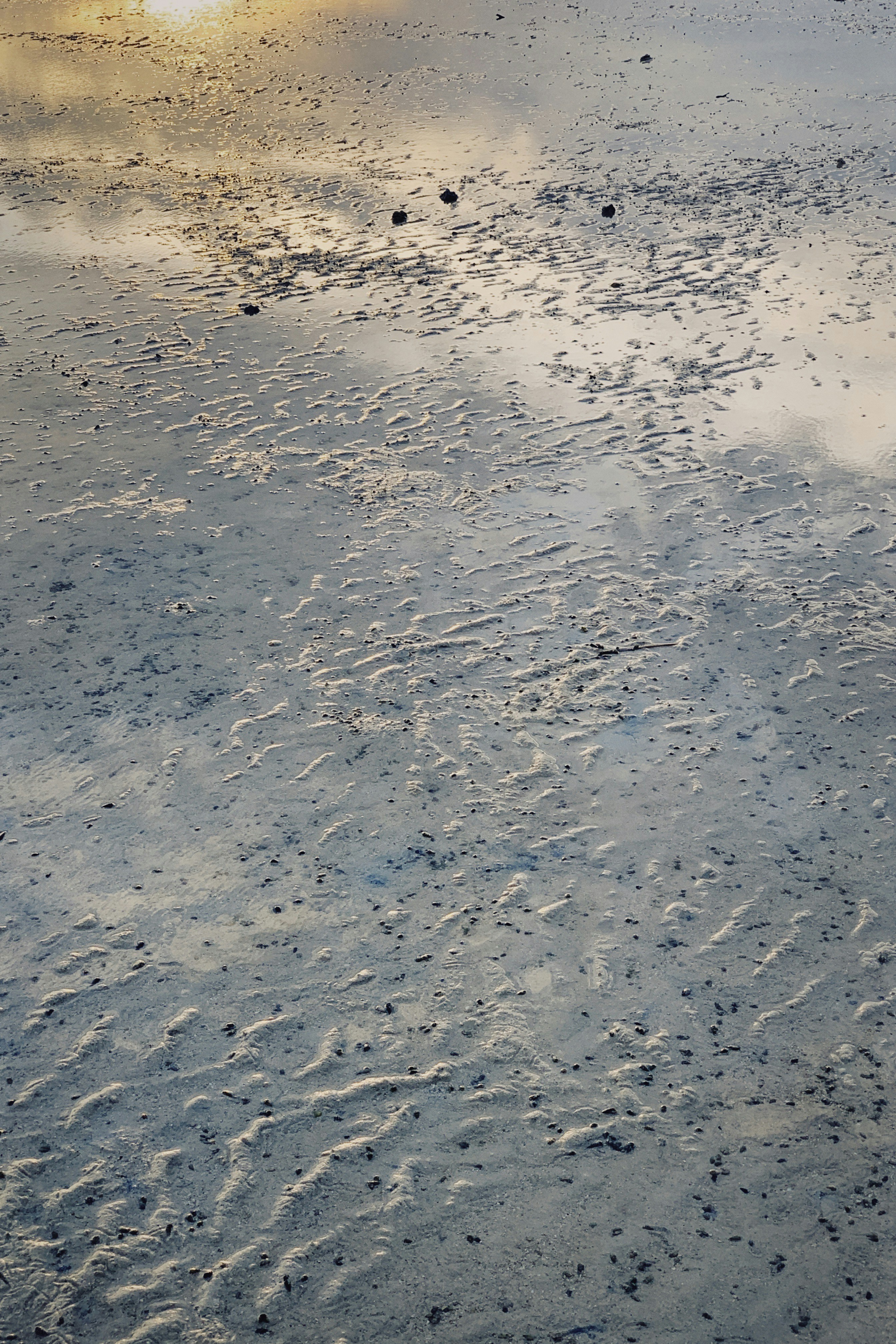 Photo by alexeydemidov