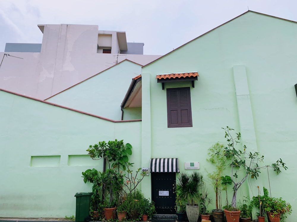 a green building with potted plants in front of it