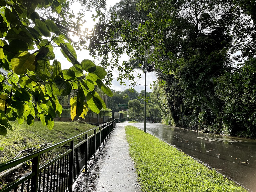 a path that is next to a river