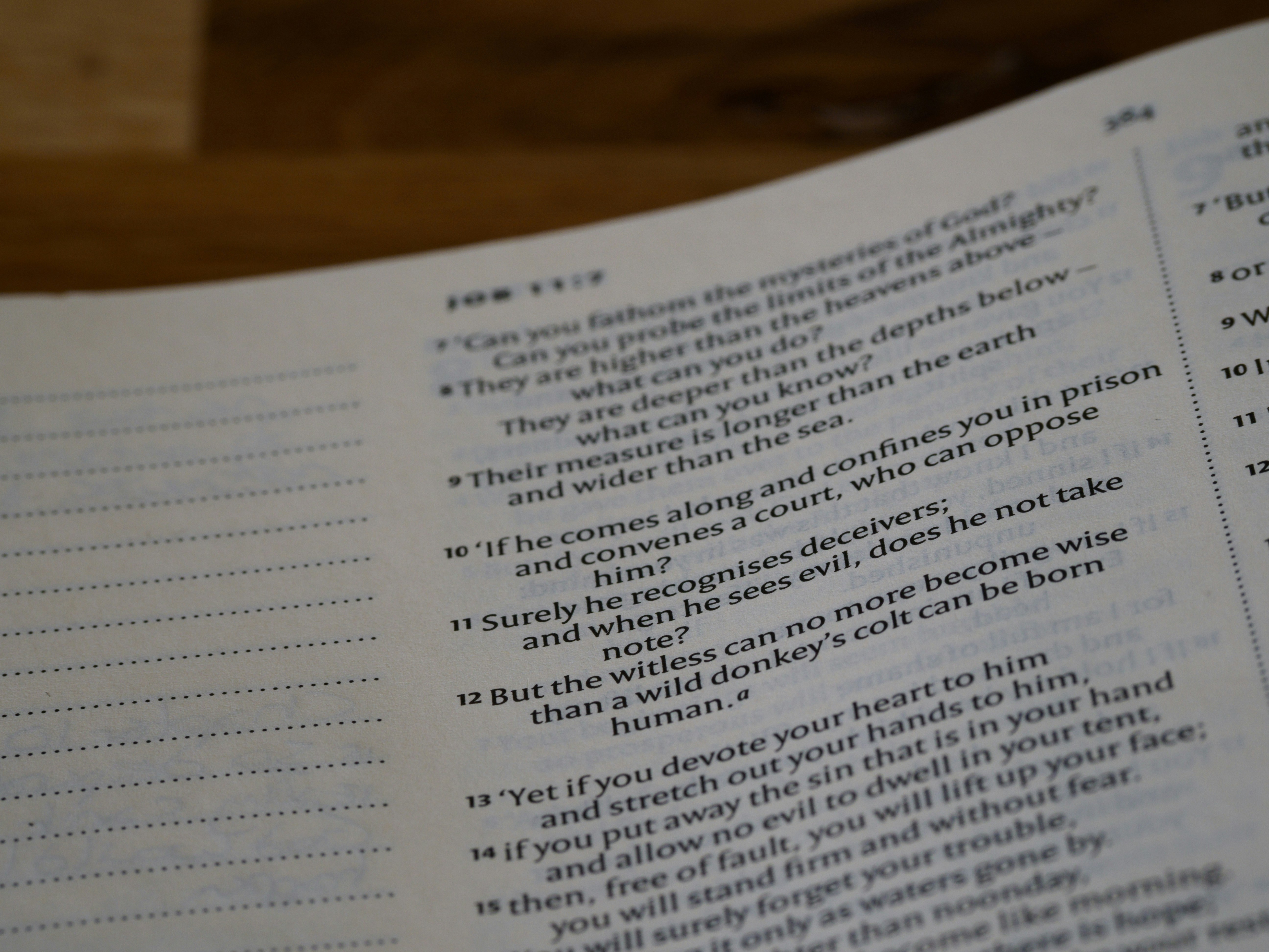 Photo by brett_jordan