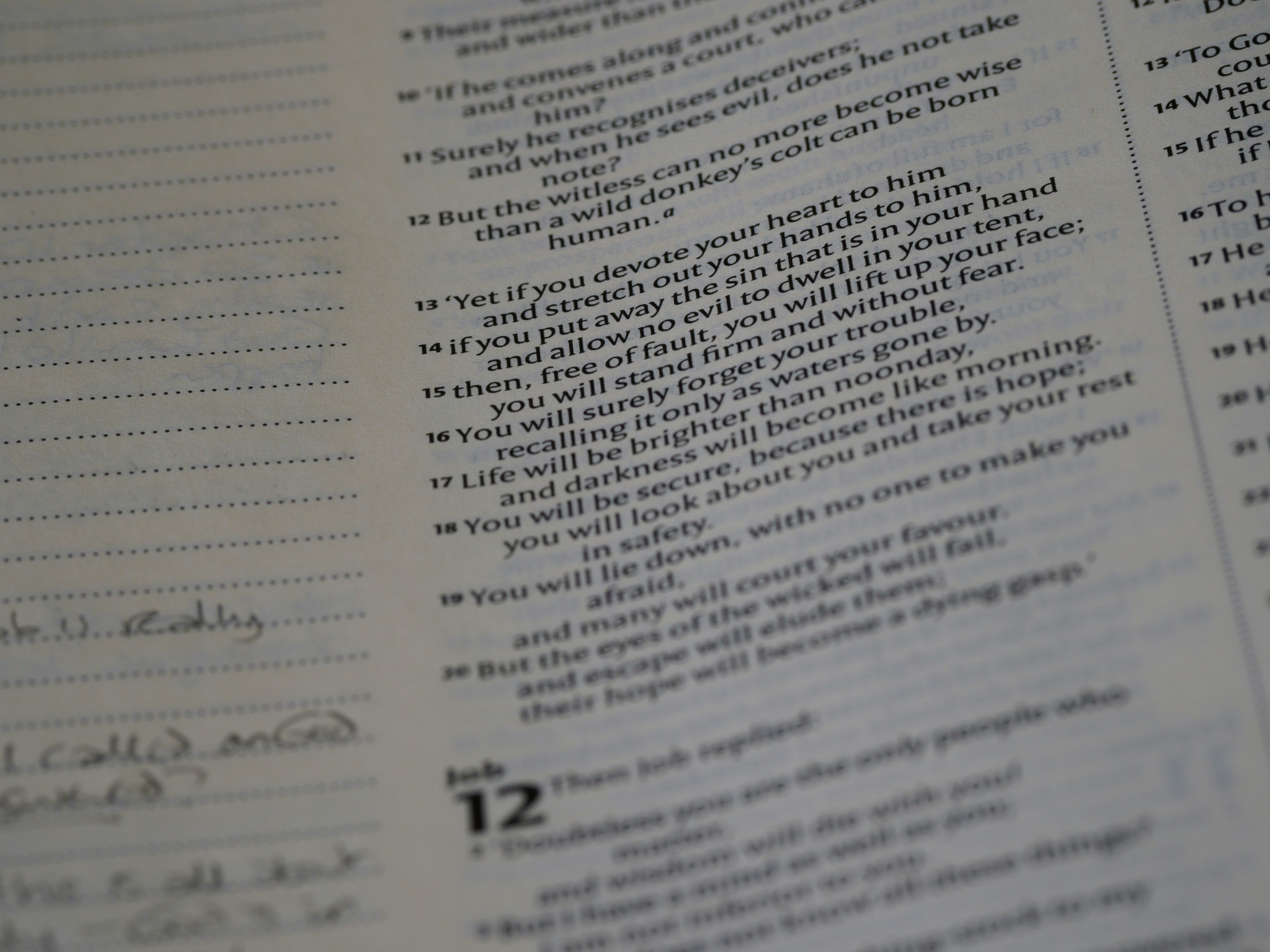 close up, bokeh, macro, blur, blurred background, close focus, bible, old testament, hebrew bible, christian, judaism, history, text, reading, bible study, devotions, text, NIV, New International Version, type, typography, canon, christianity, holy scripture, holy bible, scripture, old testament, hebrew bible, esther, tanakh, ketuvim, book of job, job, אִיּוֹב, theodicy, satan, the accuser, הַשָּׂטָן, <br />