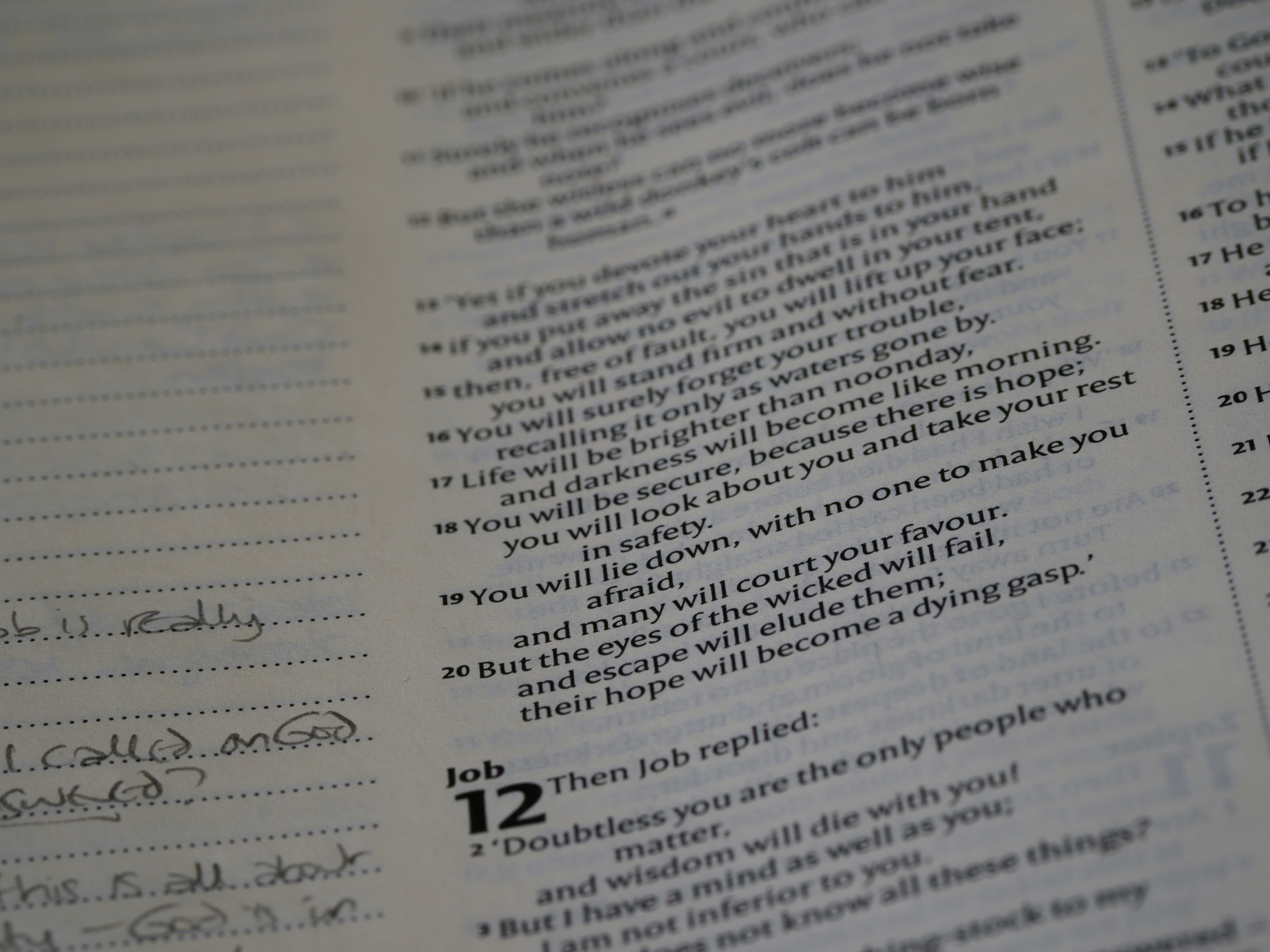 Photo by brett_jordan