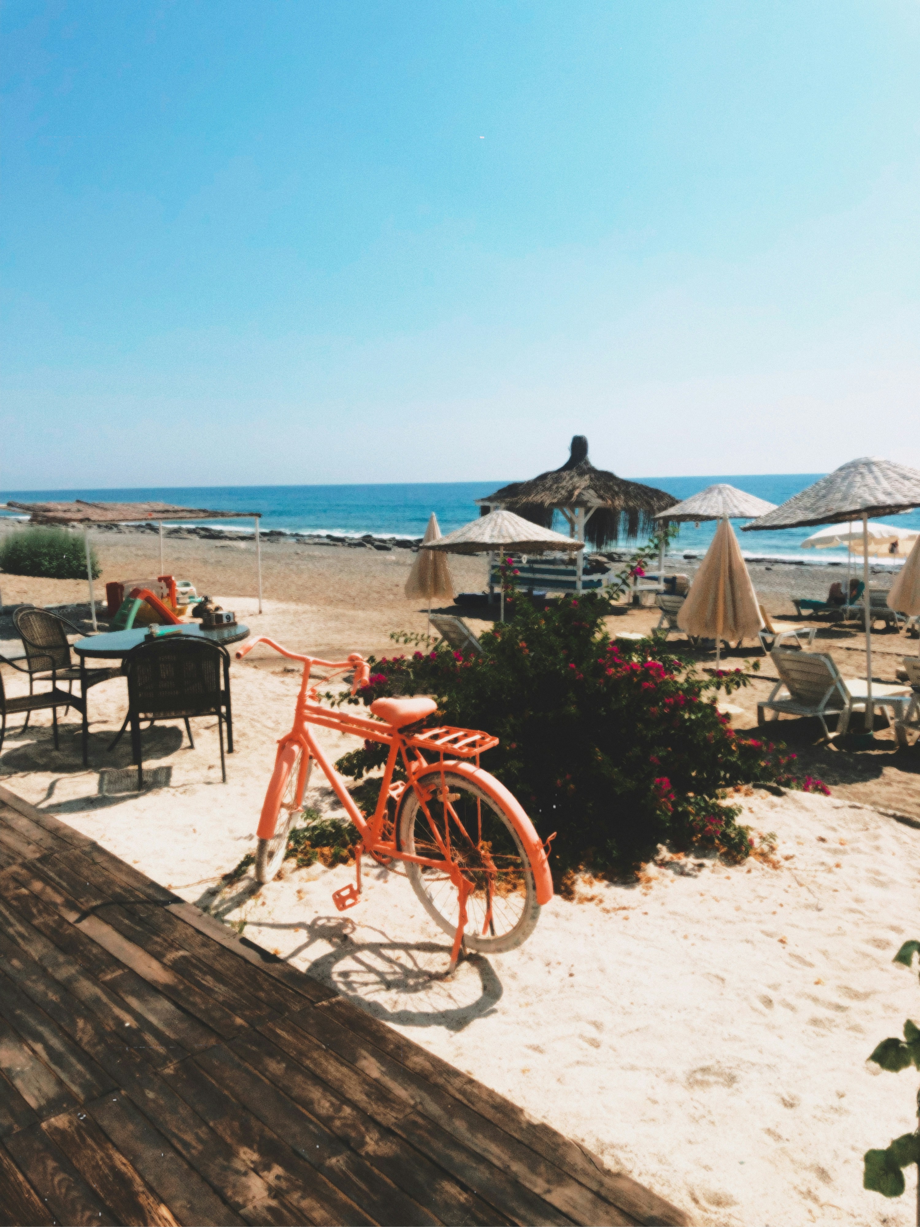 Photo by bashkirovaarina