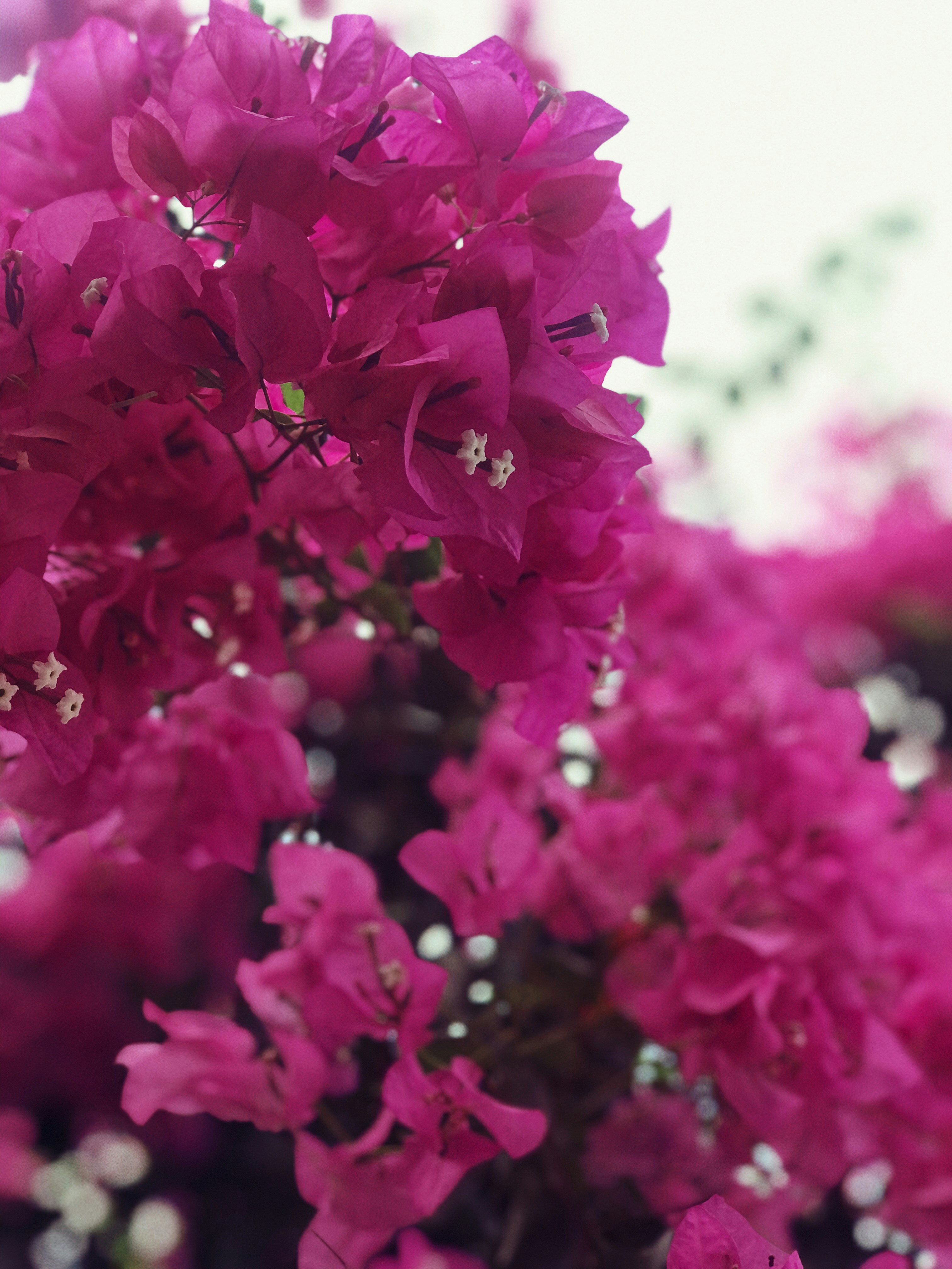 Photo by bashkirovaarina