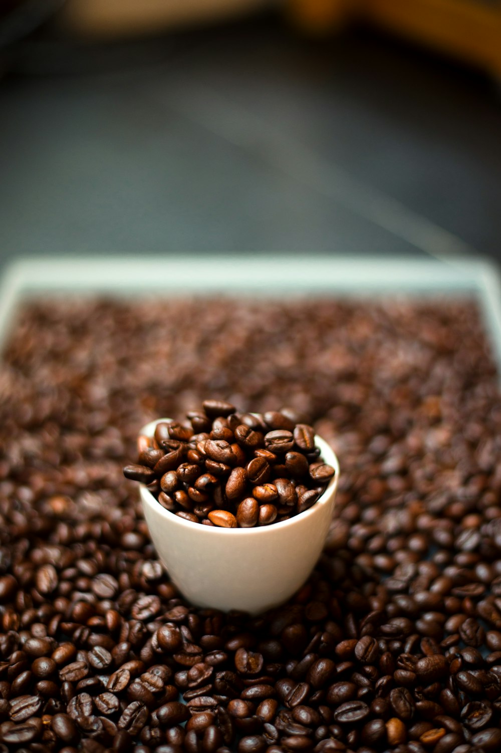 a white bowl filled with coffee beans on top of a table