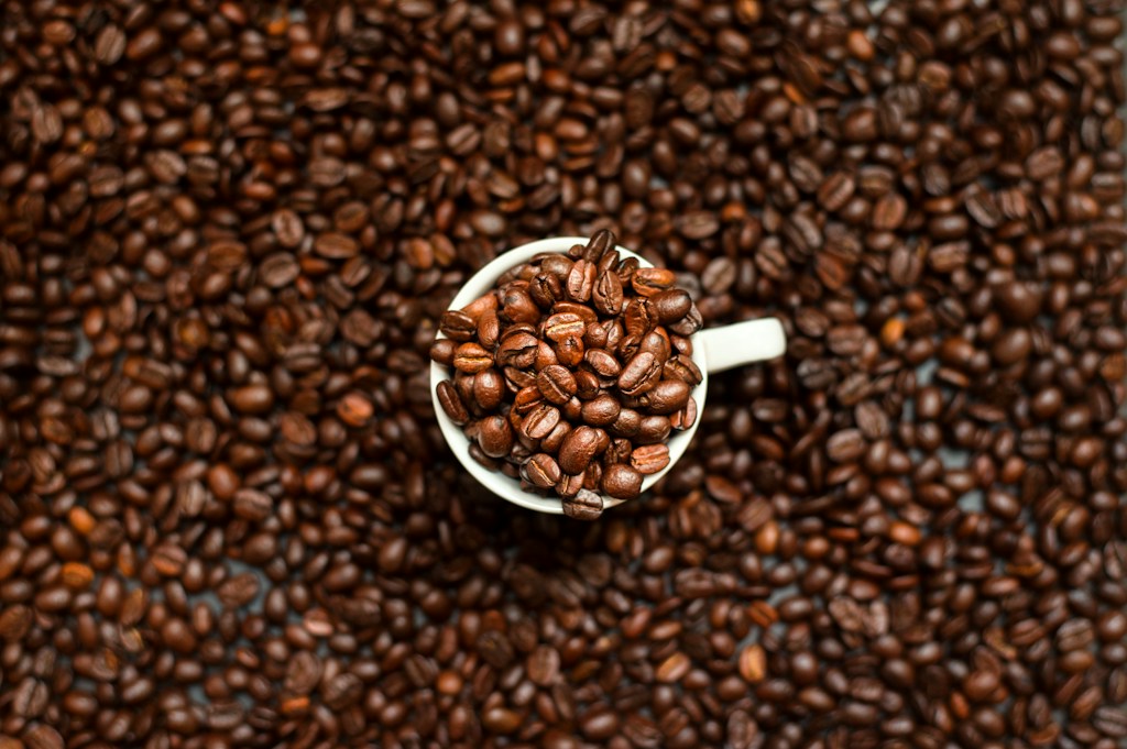 coorg arabica