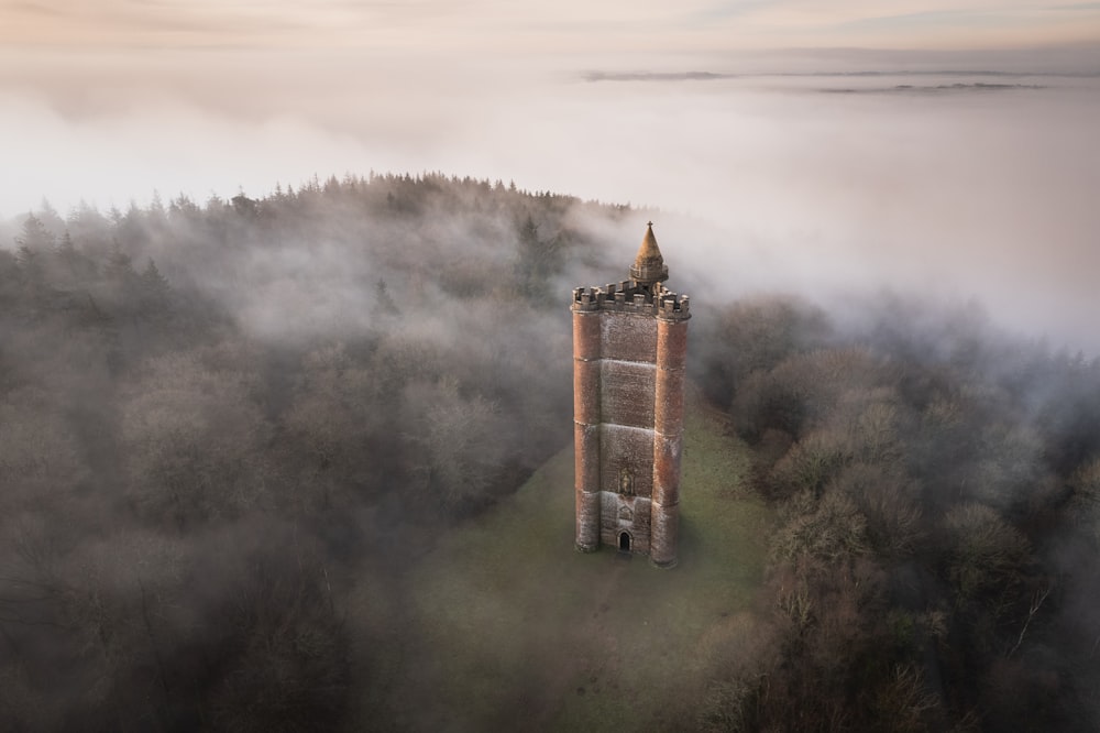 a tall tower sitting on top of a lush green forest