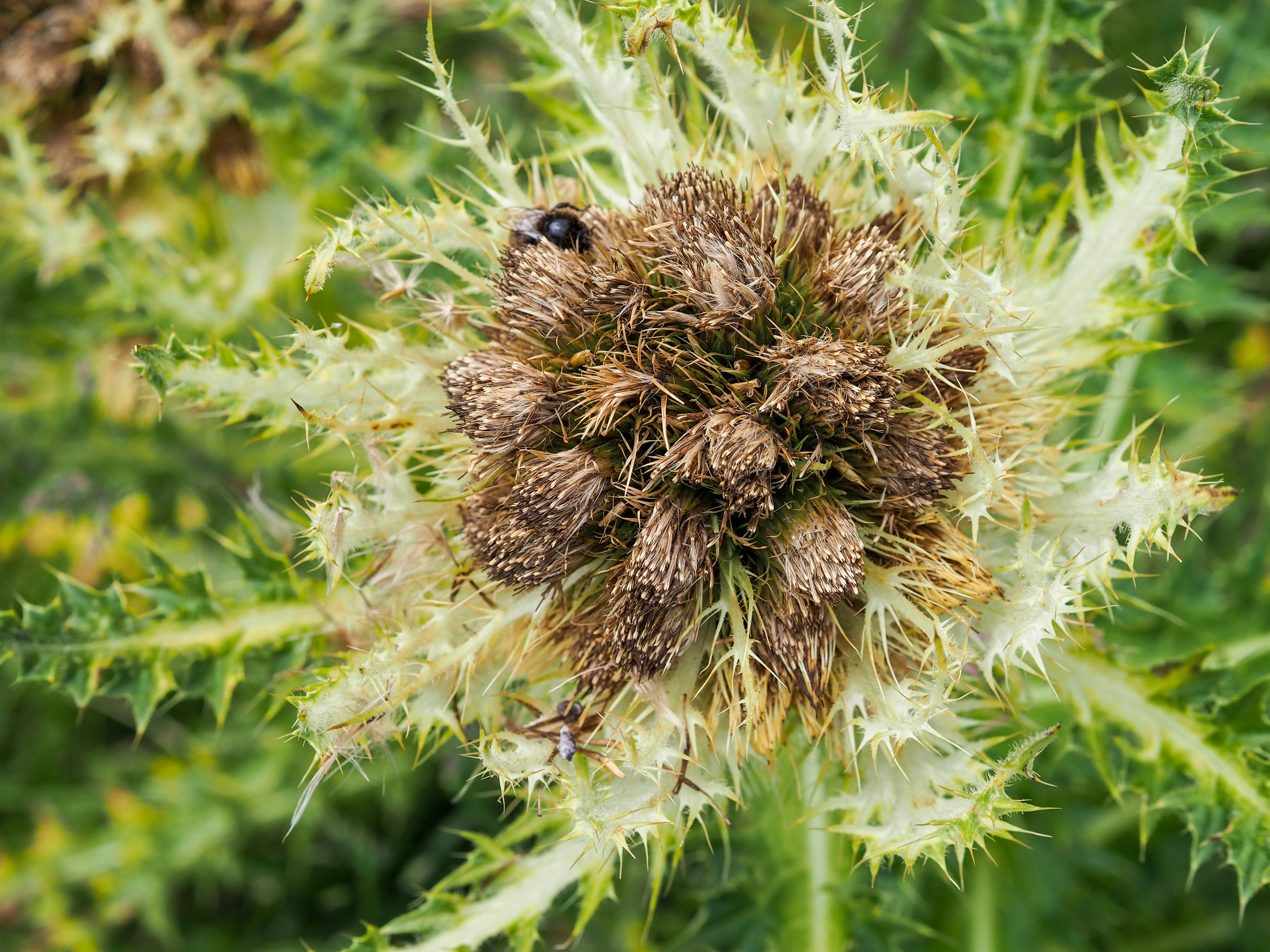 Photo by leonieseverine