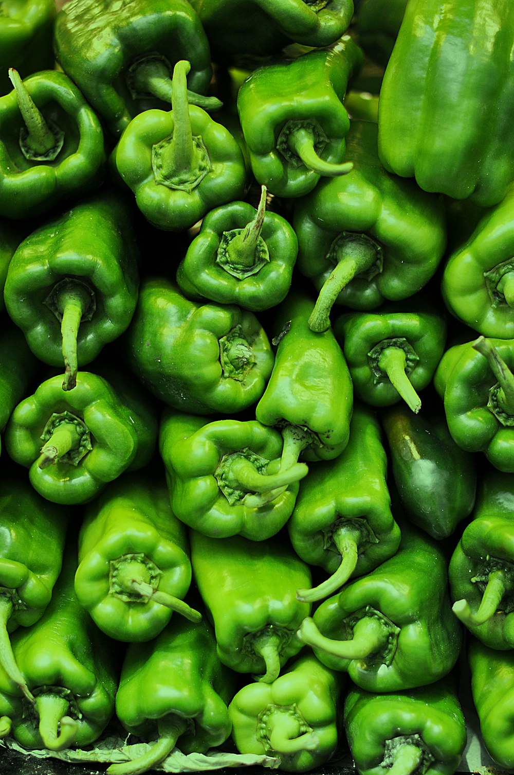 a pile of green peppers sitting next to each other