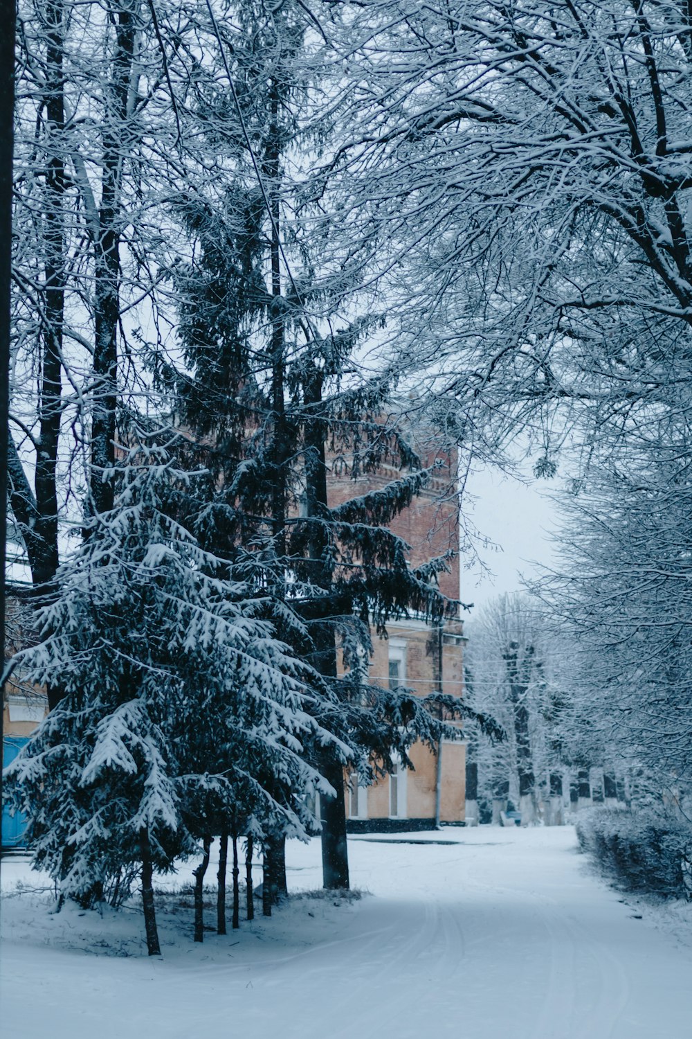 a snow covered street with trees and a building in the background
