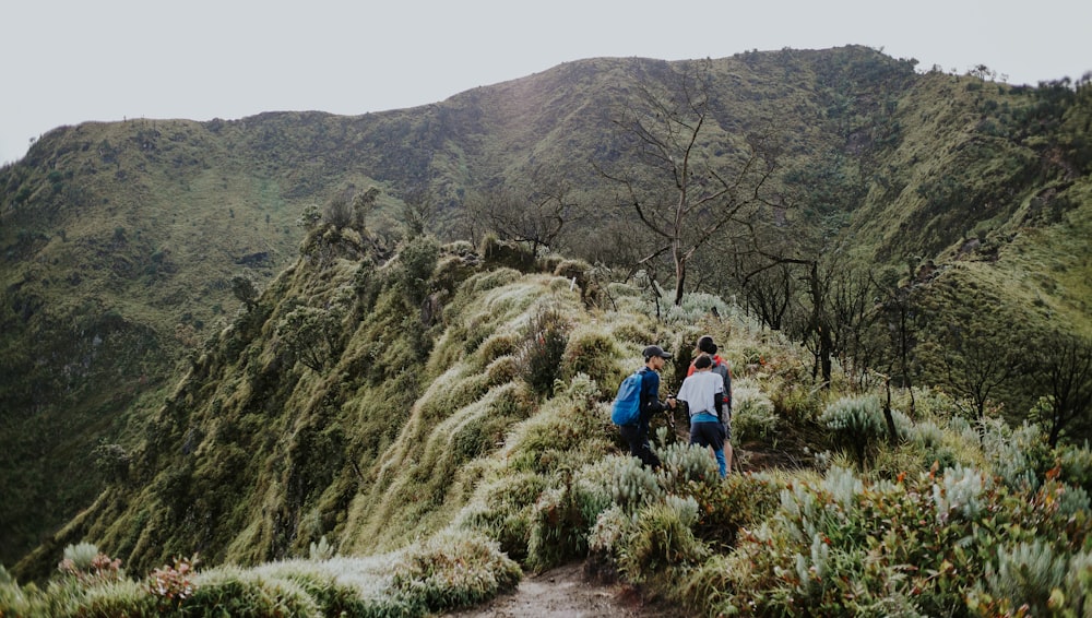 a group of people walking up a steep hill