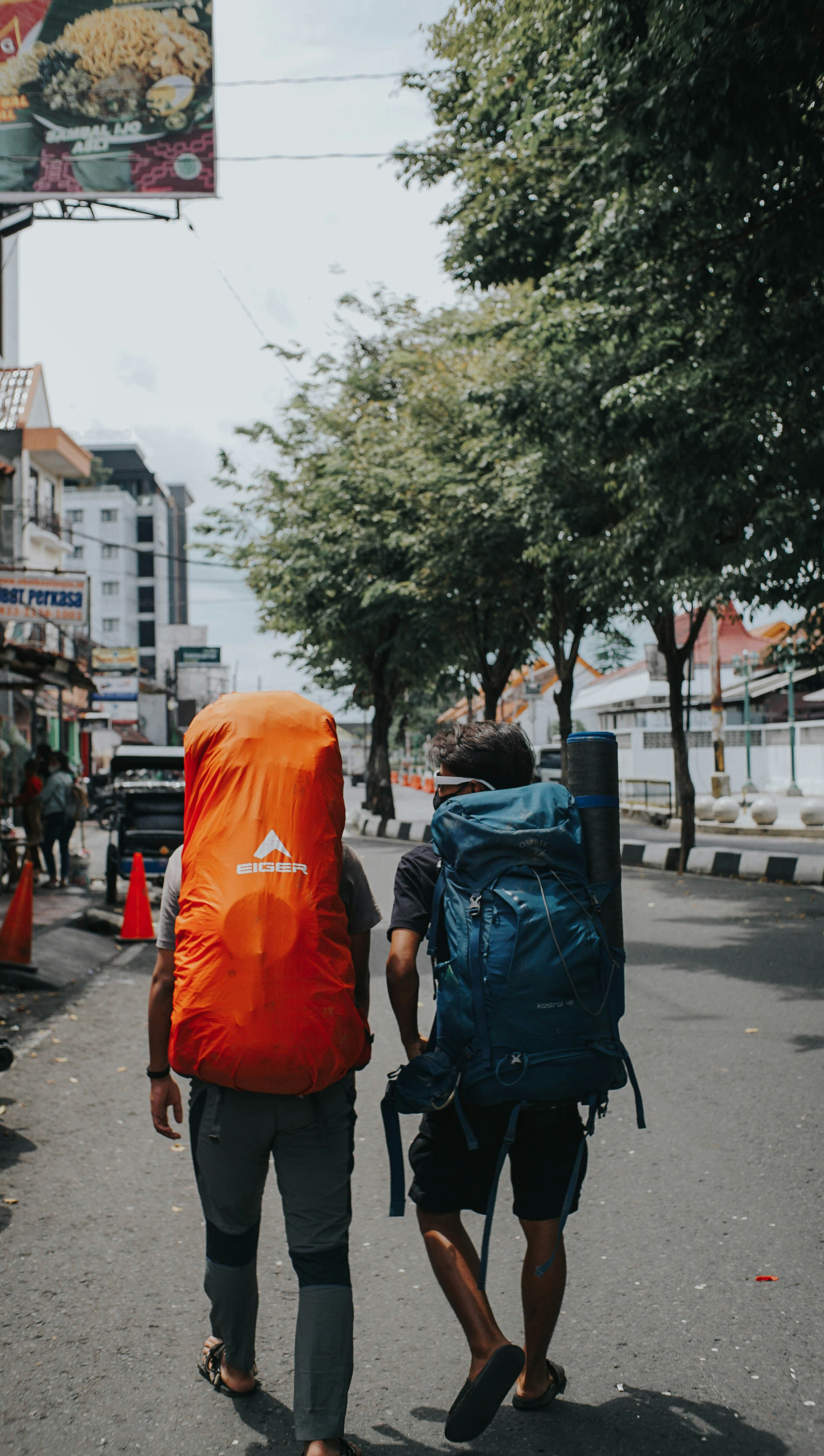 Impact Of Nutrients On Mental Health