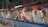 Several white chickens with red combs are standing inside a metal cage in a row. They are positioned side by side, showing limited space. The background includes a wooden structure of a typical poultry farm setup.