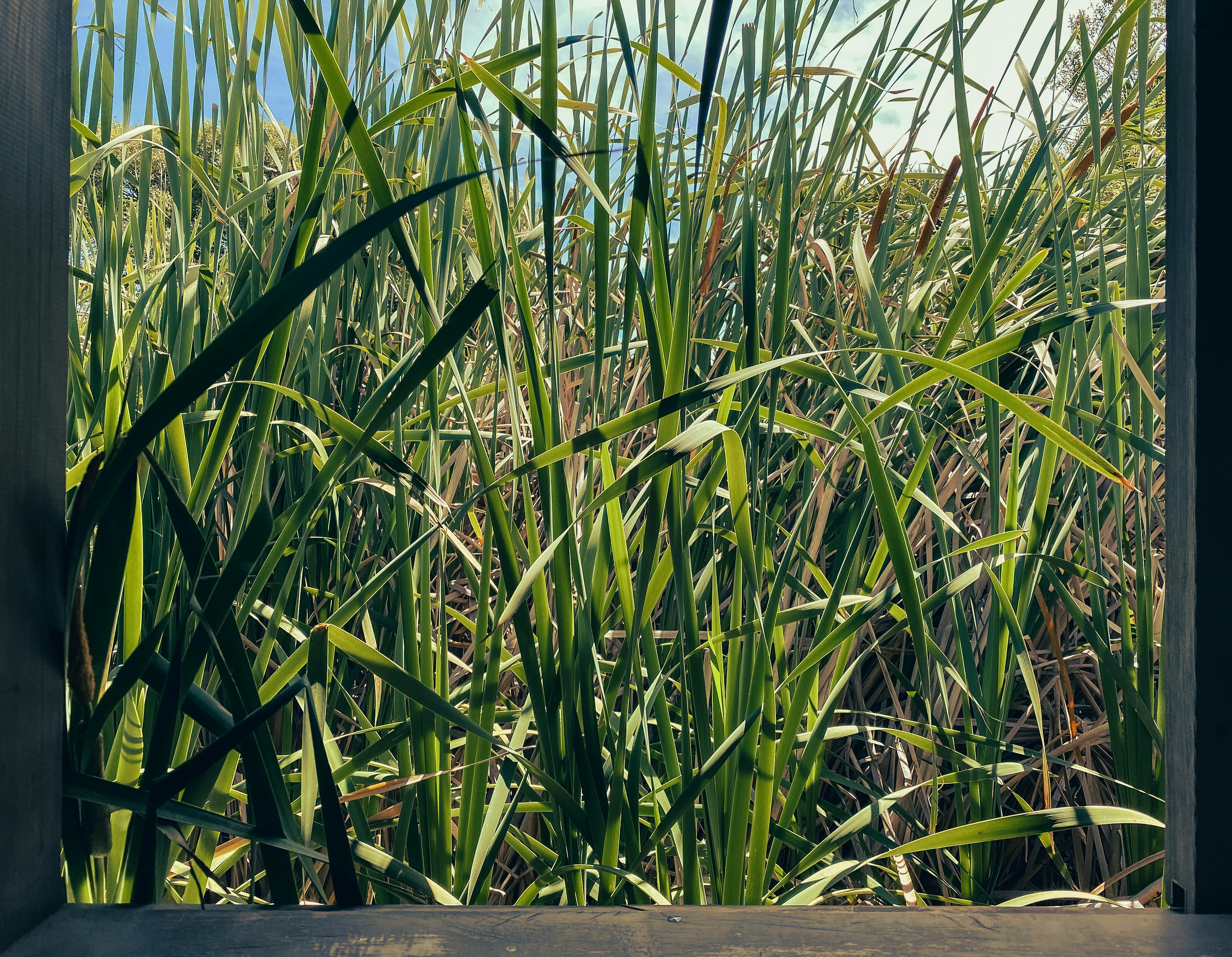 Photo by equilateral