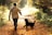 a man walking down a leaf covered path with a dog