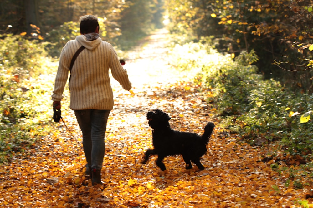 a man walking down a leaf covered path with a dog