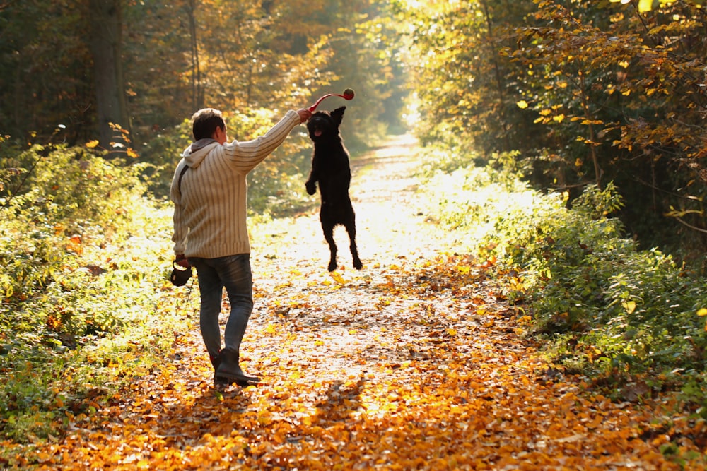 a man walking down a leaf covered road with a dog