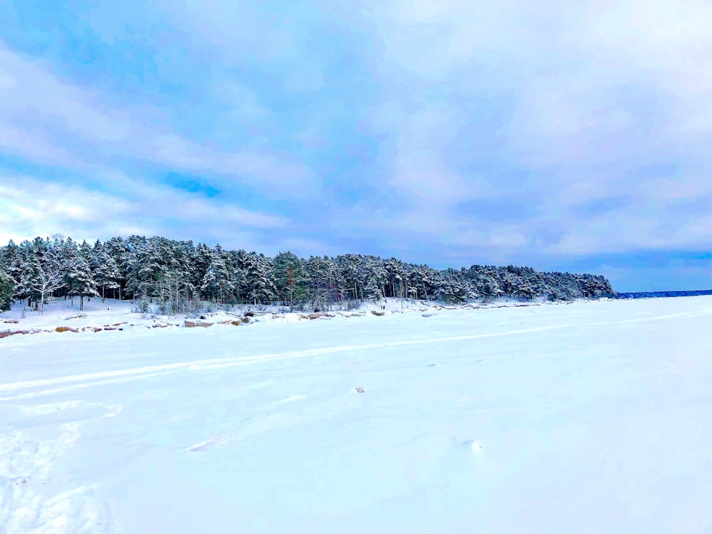 a snow covered field with trees in the background