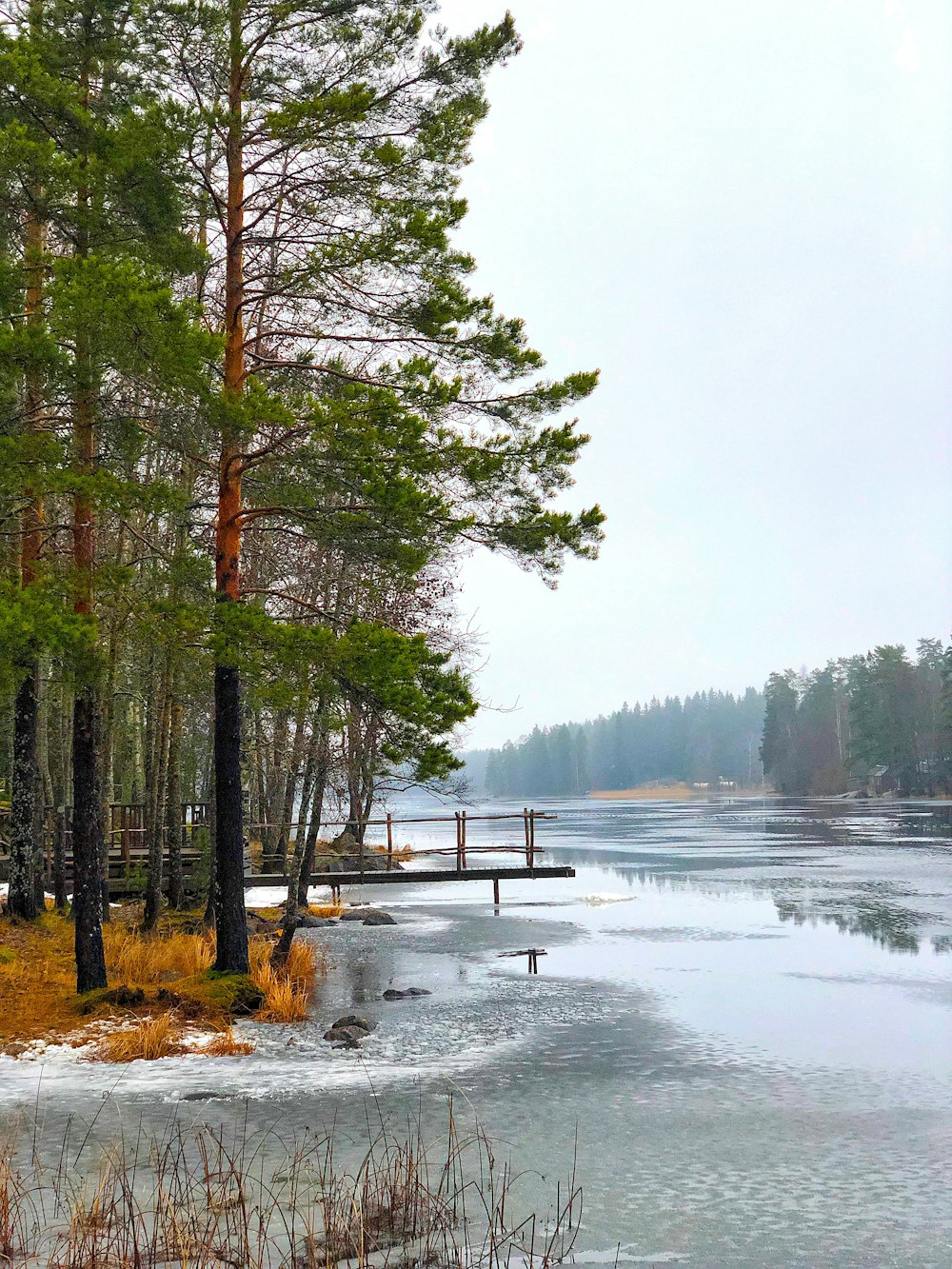 a body of water surrounded by trees and snow