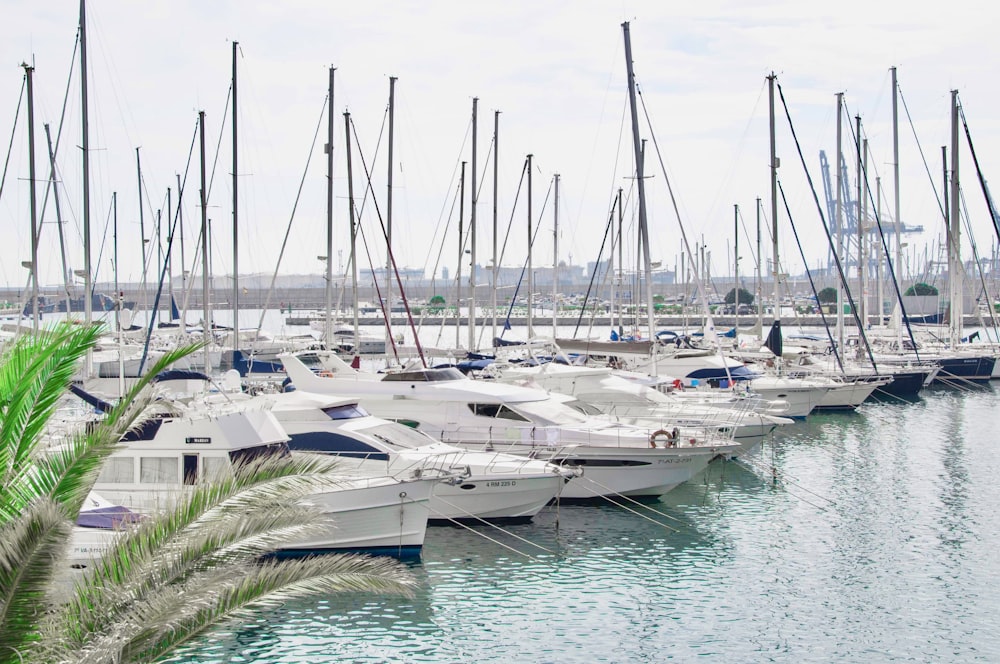 a bunch of boats that are sitting in the water