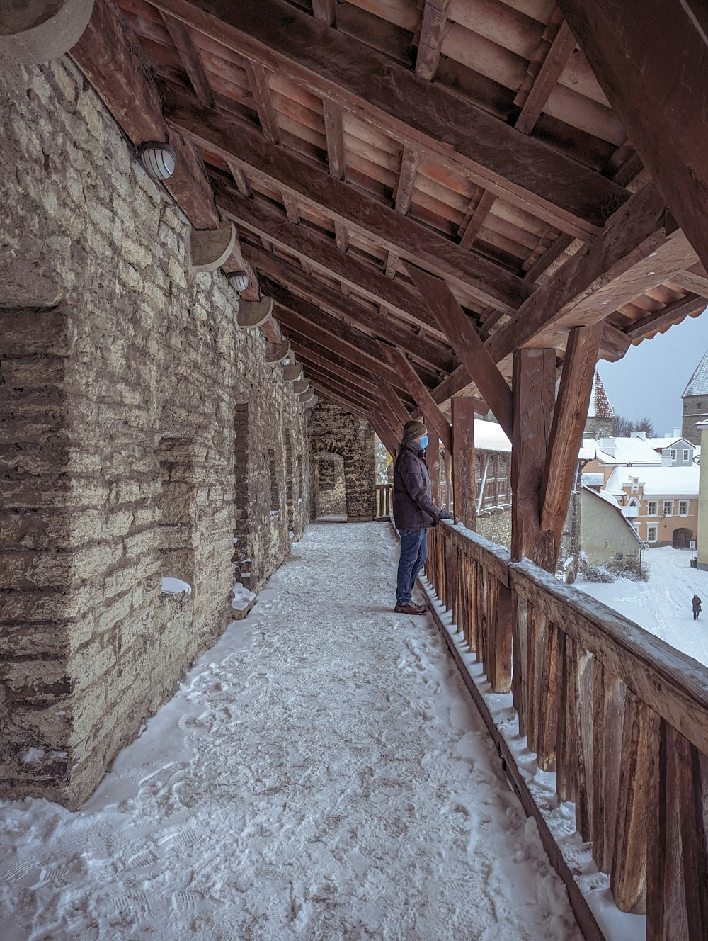 a person standing on a bridge in the snow