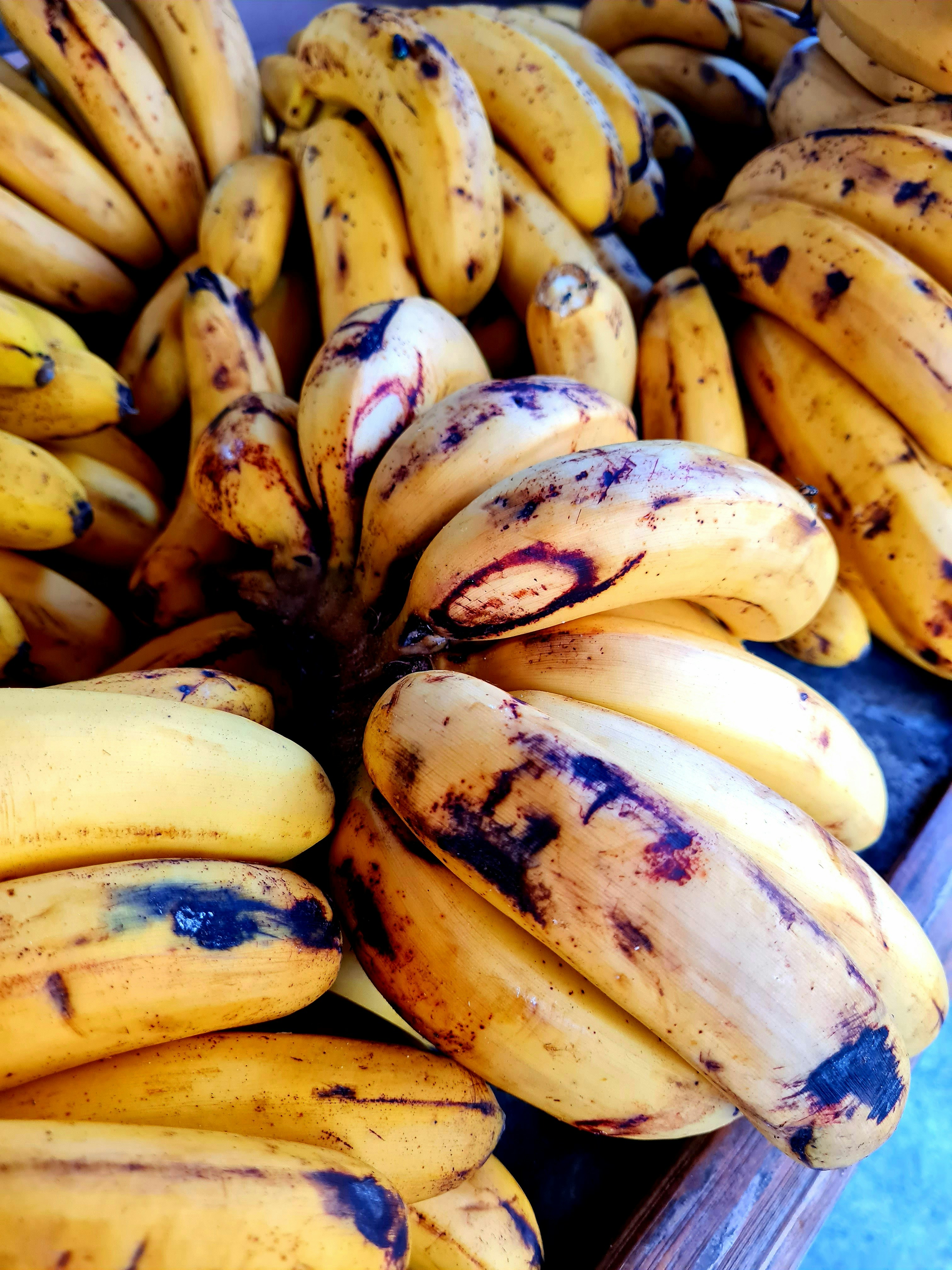 Harare Harvest