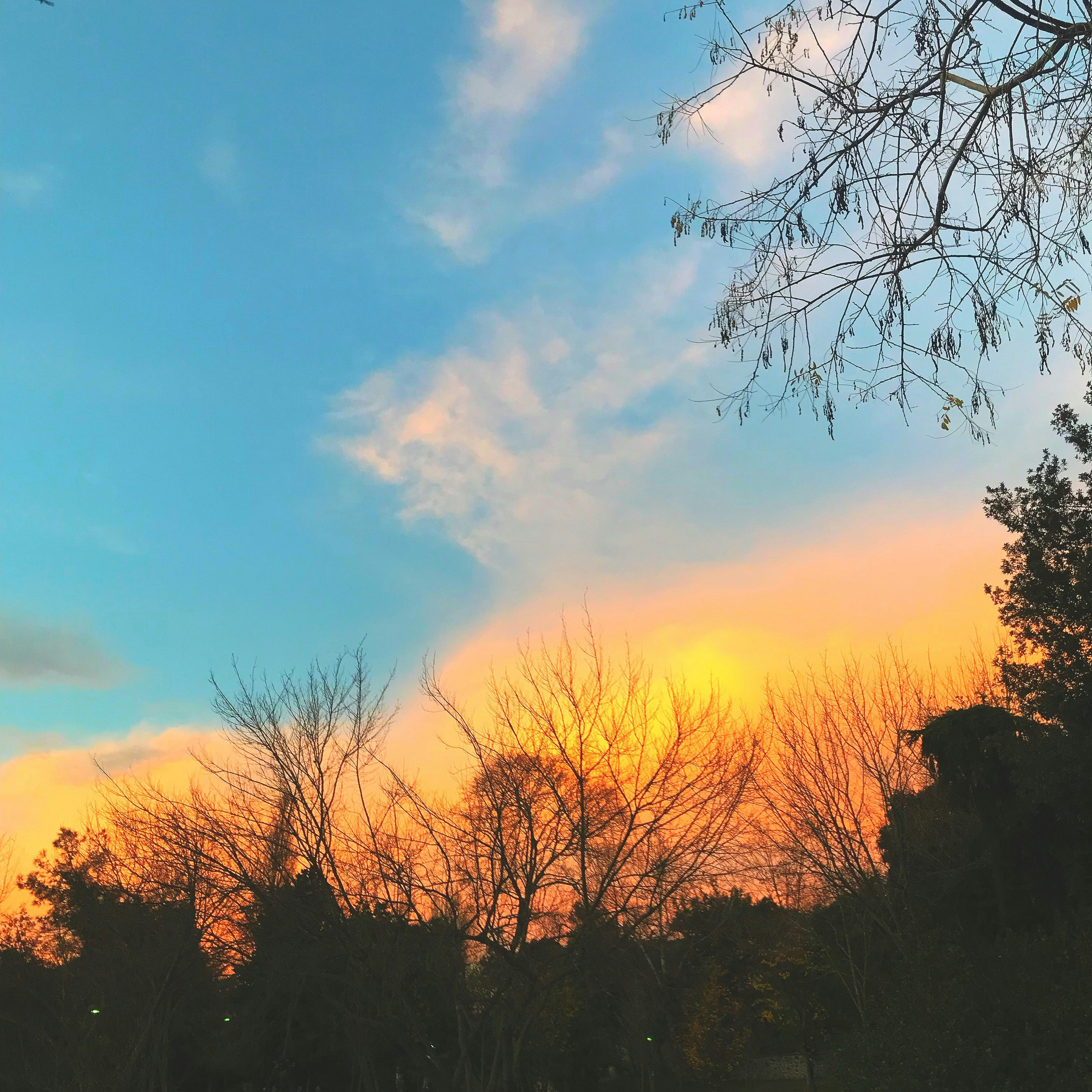 Photo by yunusyatagan